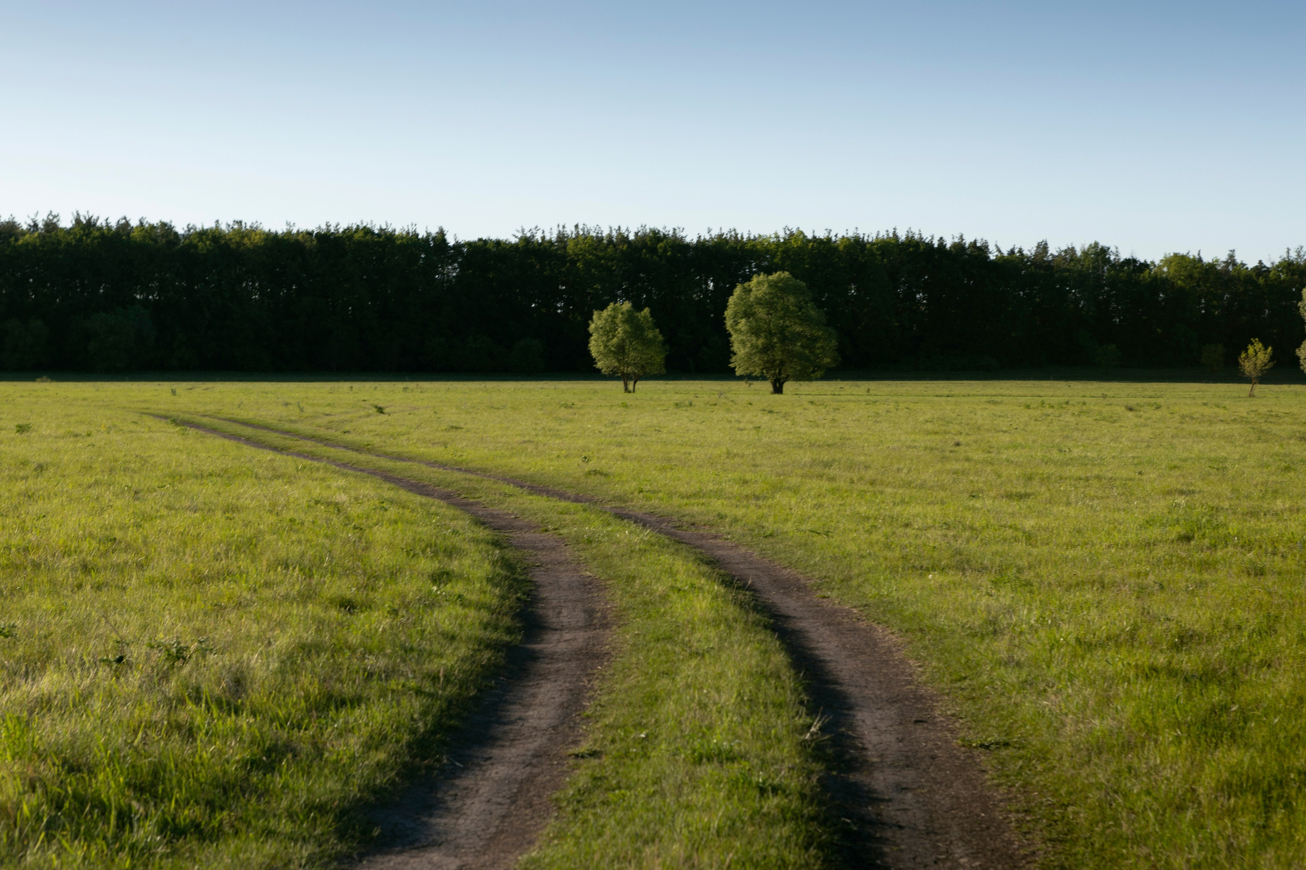 Travel. Индивидуальная и семейная съёмка. Москва, Наталья Самохвалова