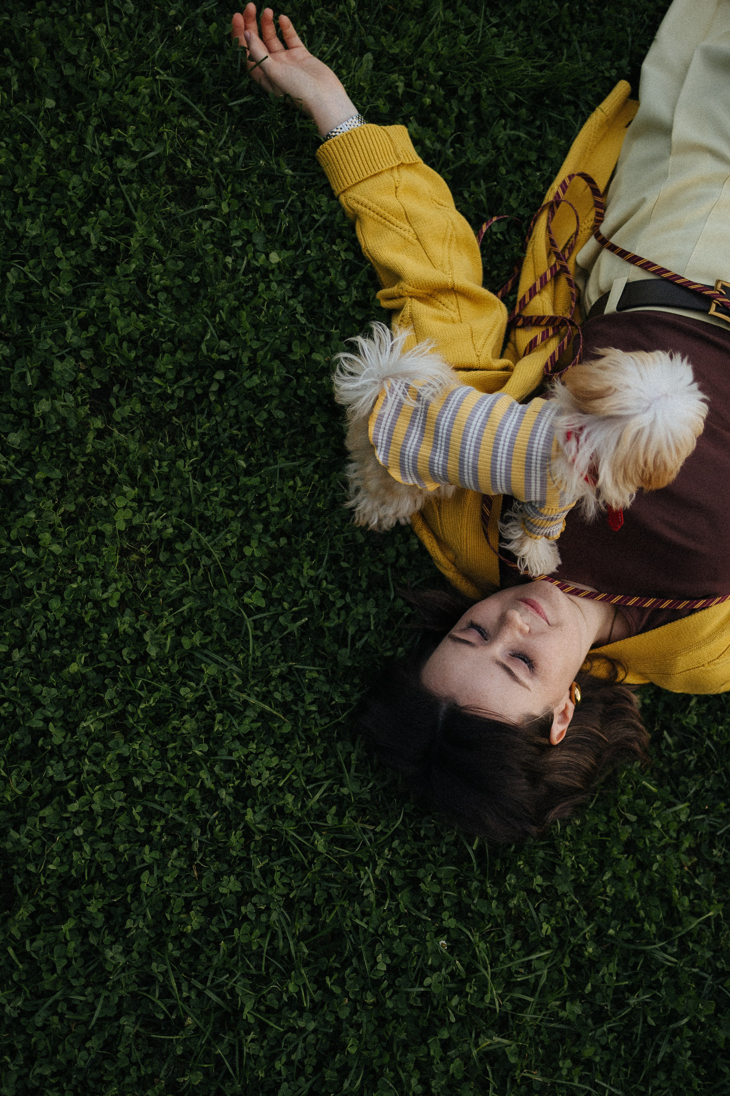 Оля и Бри. Фотораф — анималист Мария Шистка