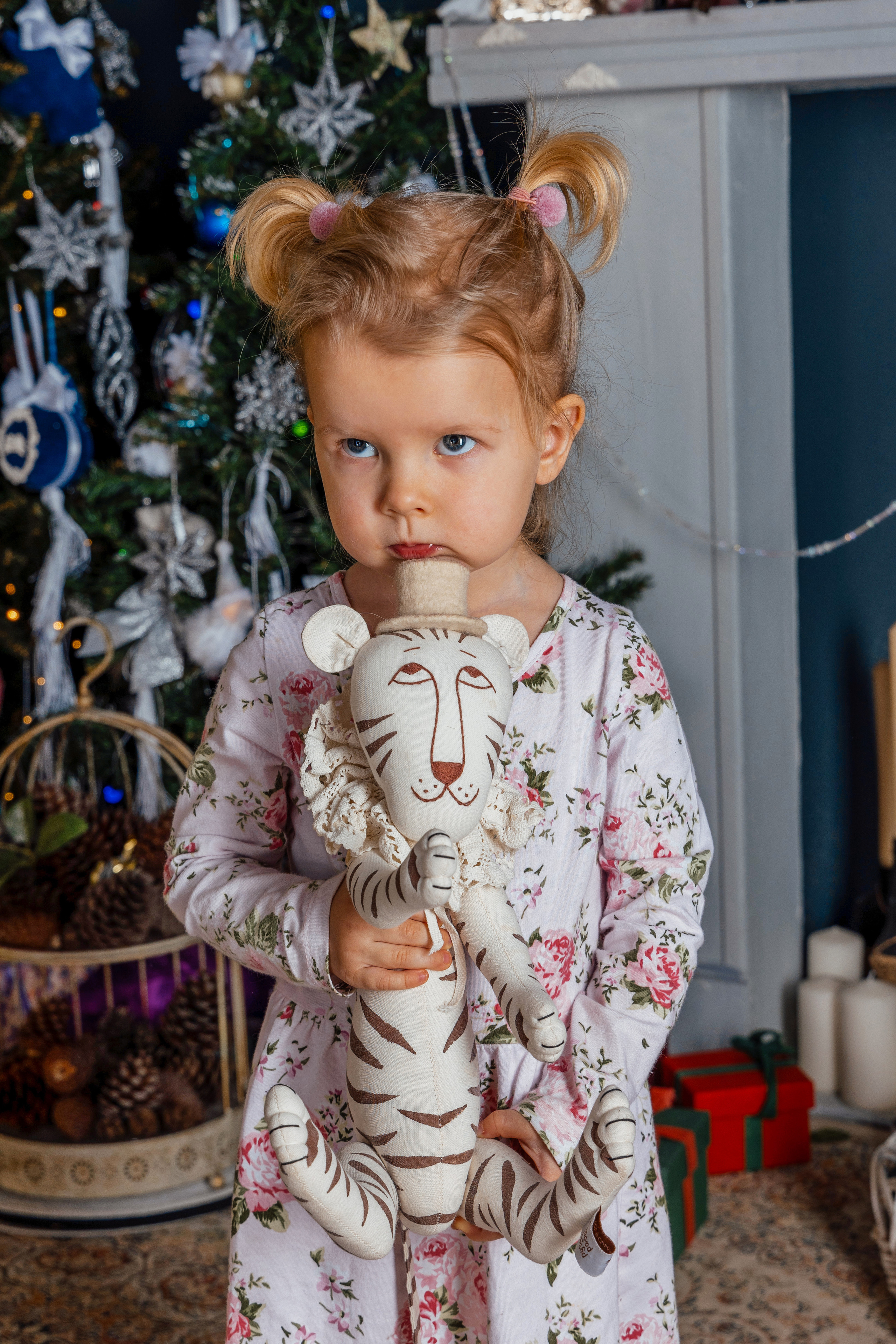 Новый 2023 г. Фотограф Владимир Роля