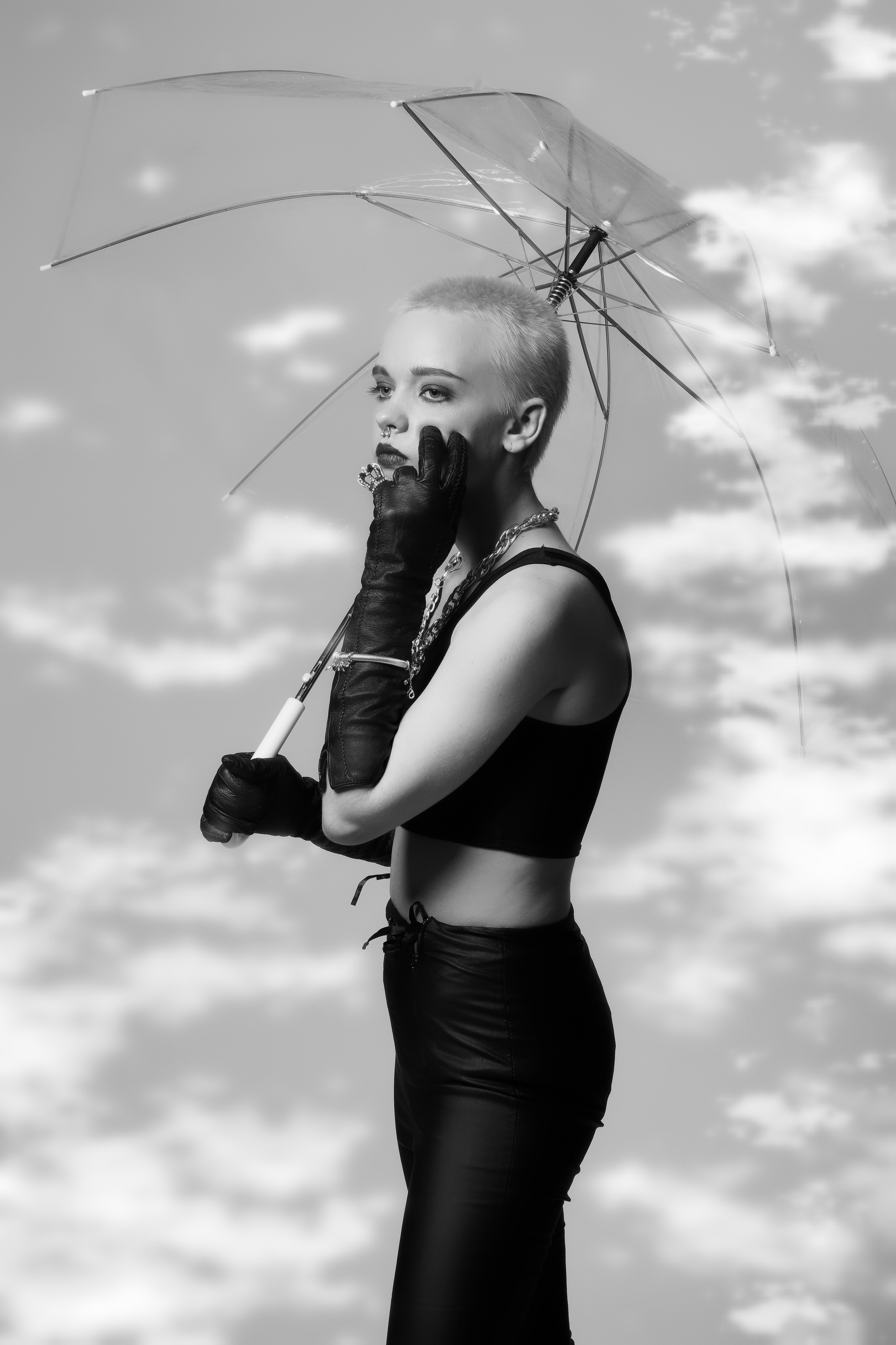 Гламур.Съёмки в разных студиях. Фотограф Владимир Роля