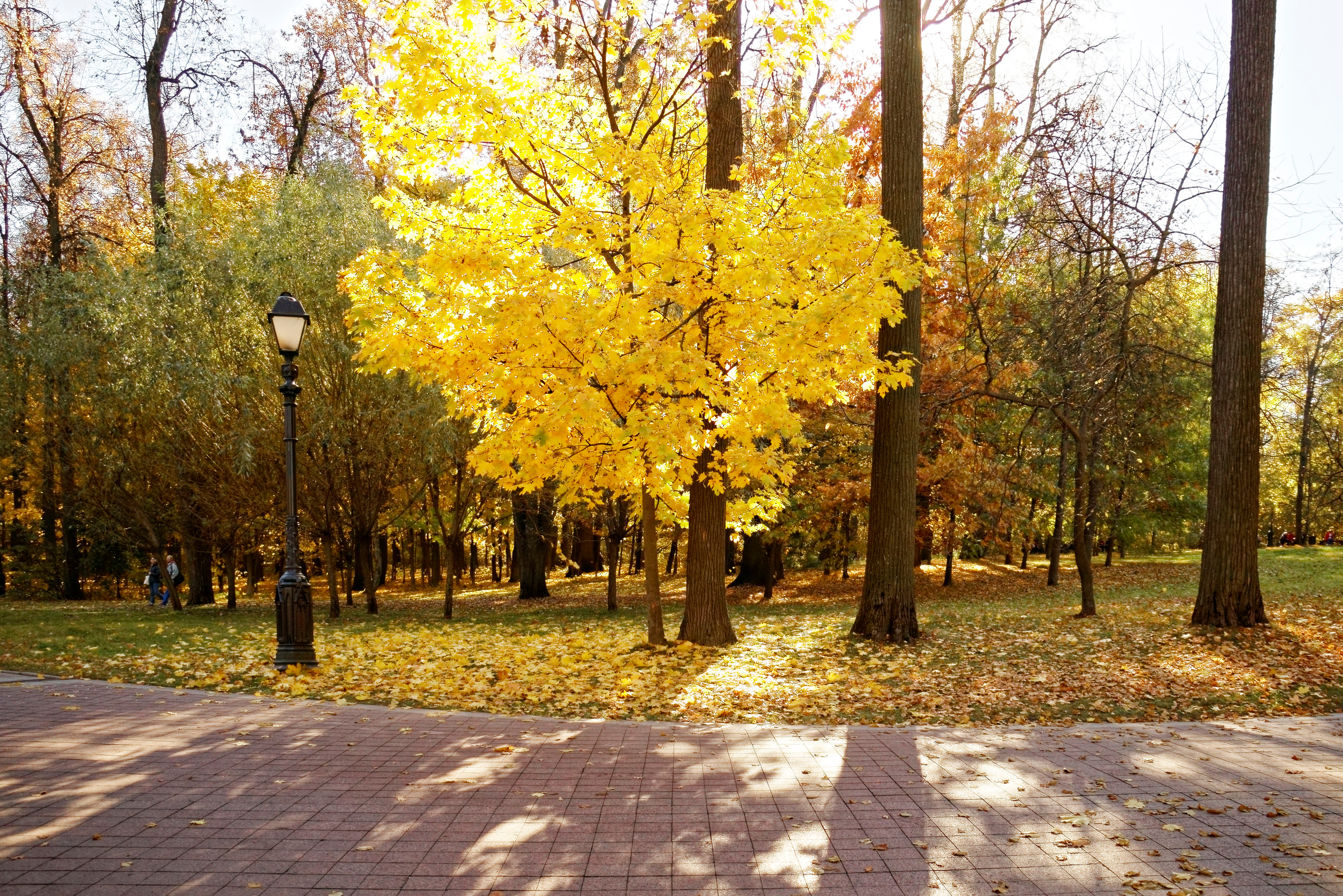 АРХИТЕКТУРА. Фотограф Владимир Роля