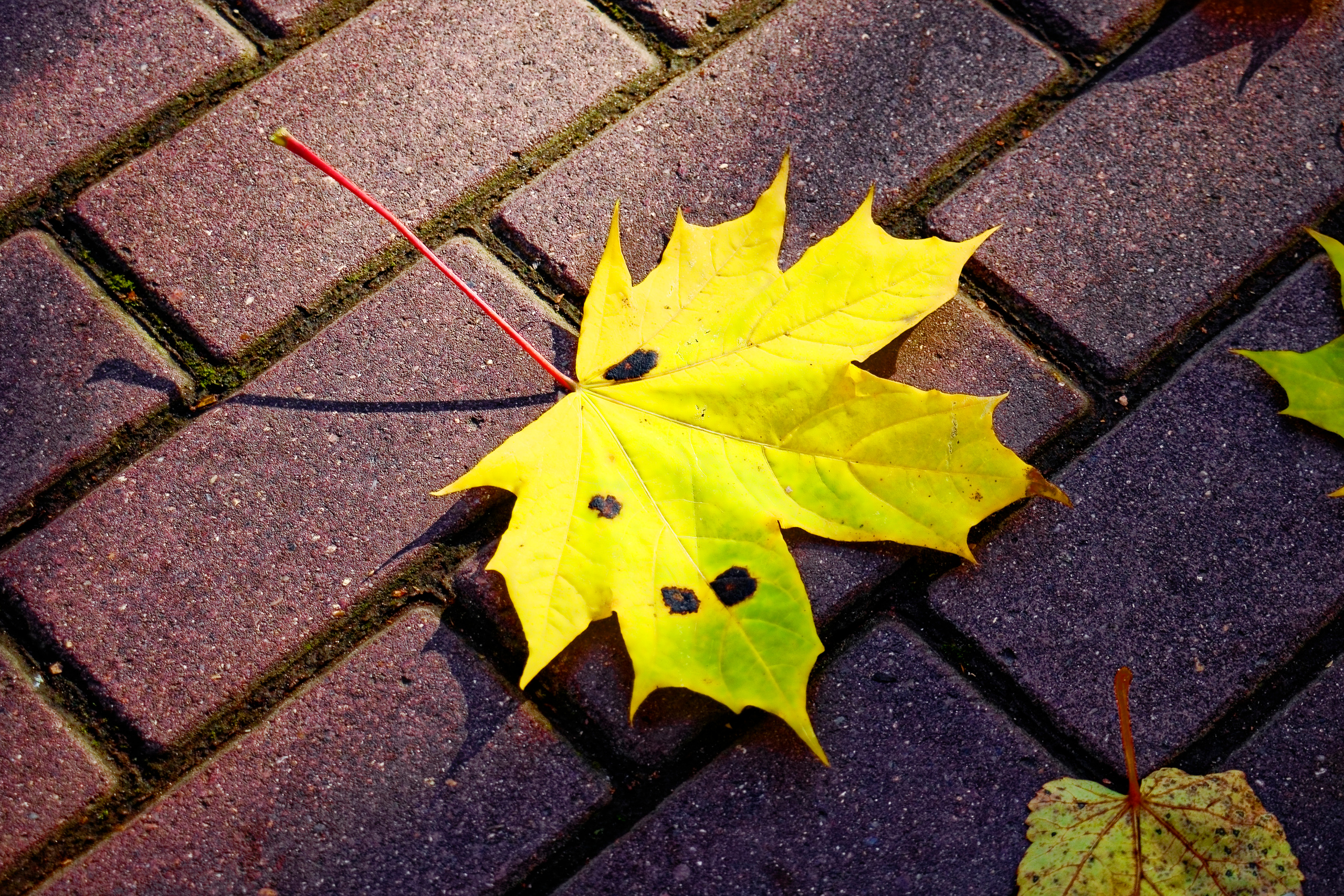 АРХИТЕКТУРА. Фотограф Владимир Роля