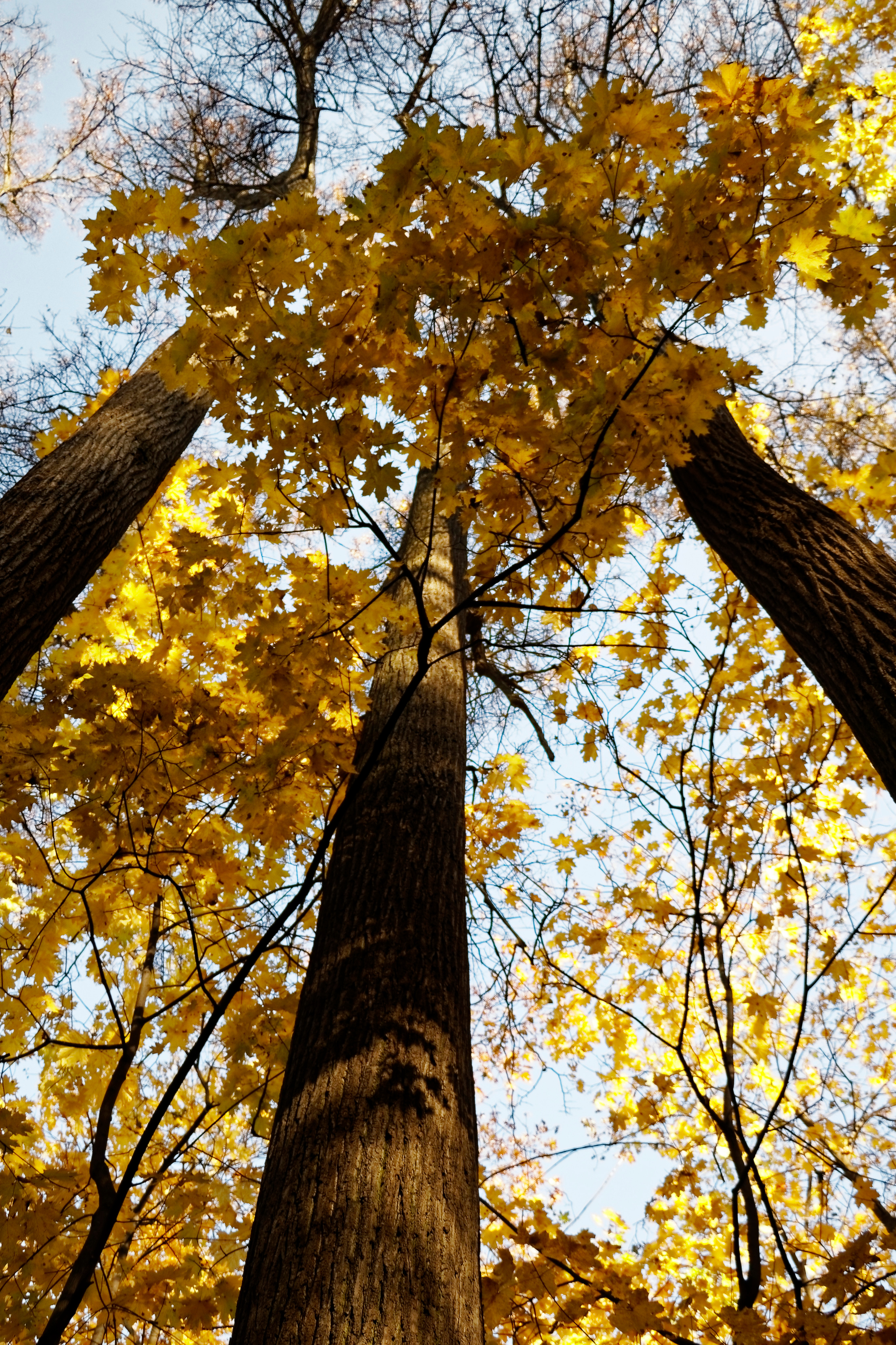 АРХИТЕКТУРА. Фотограф Владимир Роля