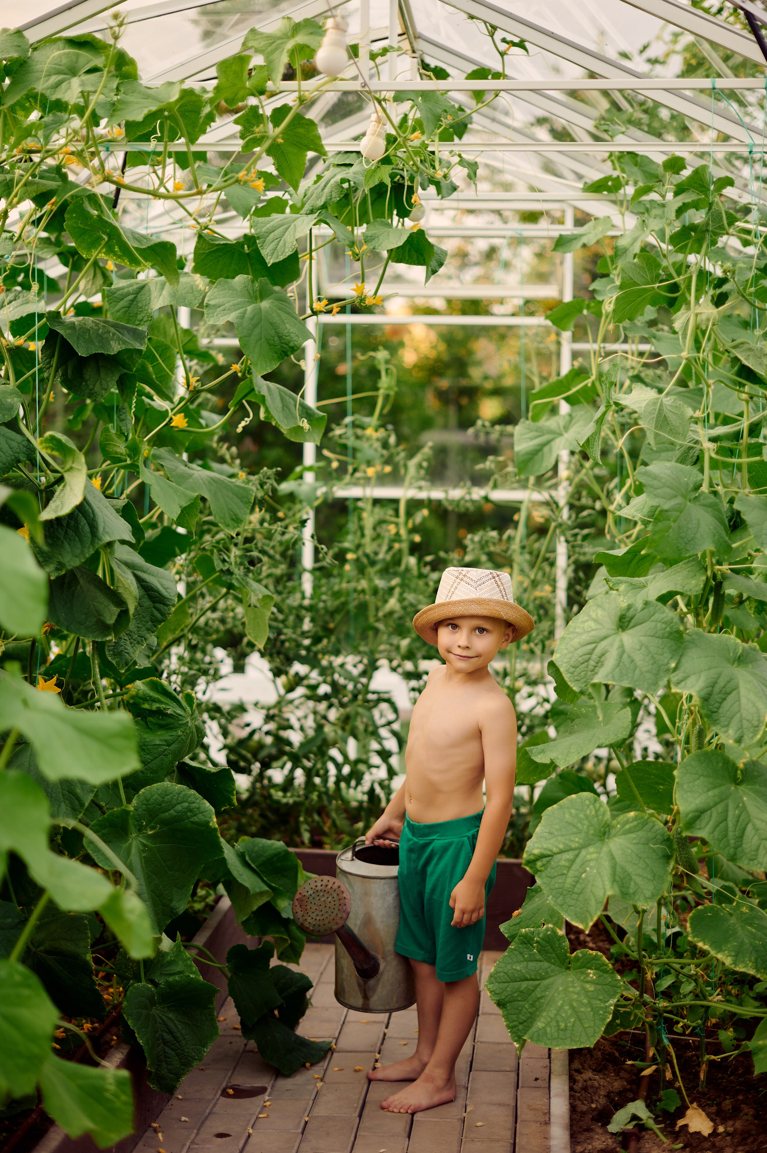 ОГУРЦЫ, ТЕПЛИЦА, САД :). Свадебный и семейный фотограф РИТА БОЧКАРЁВА