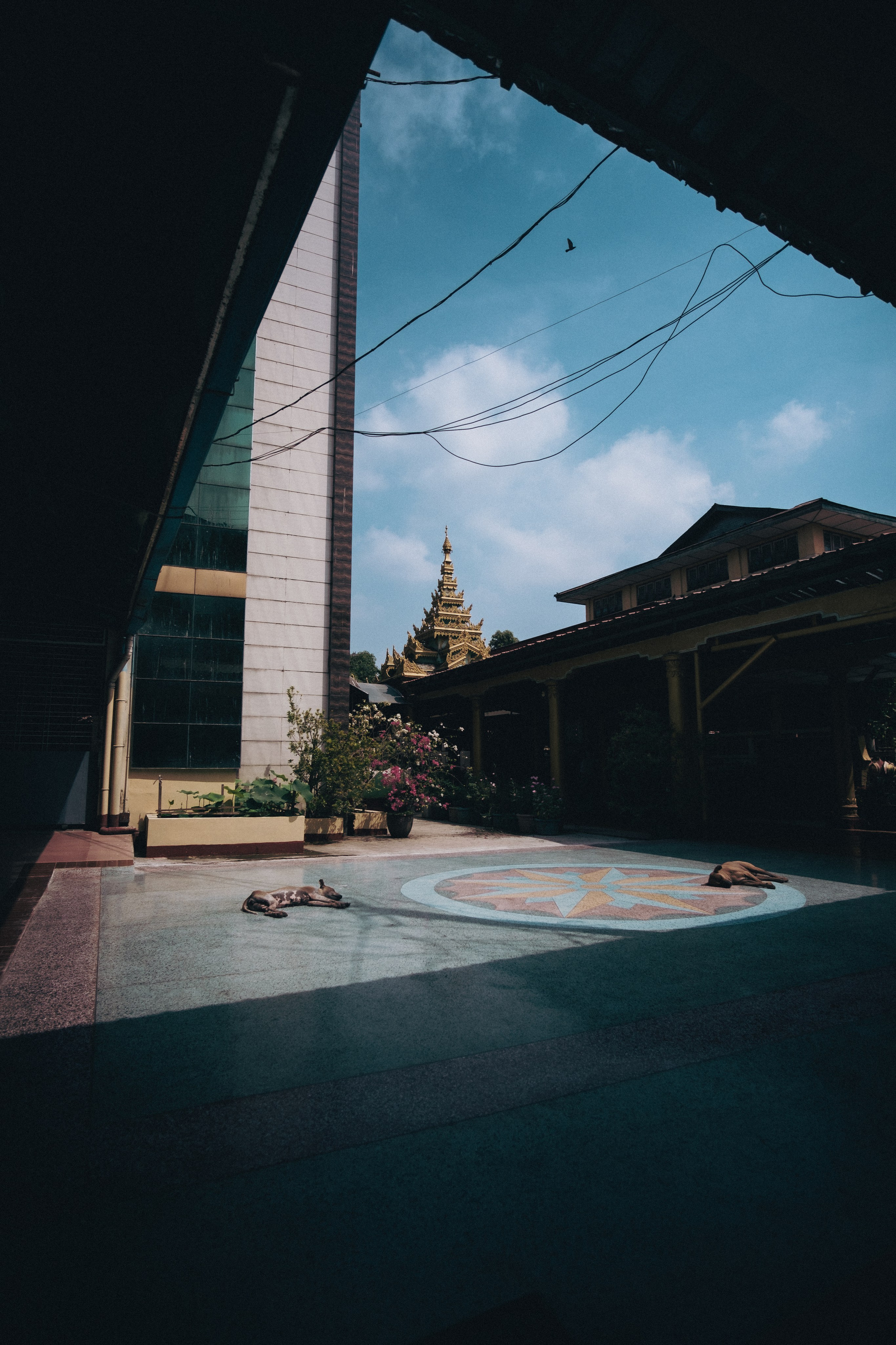 Myanmar. Dmitry Ippolitov