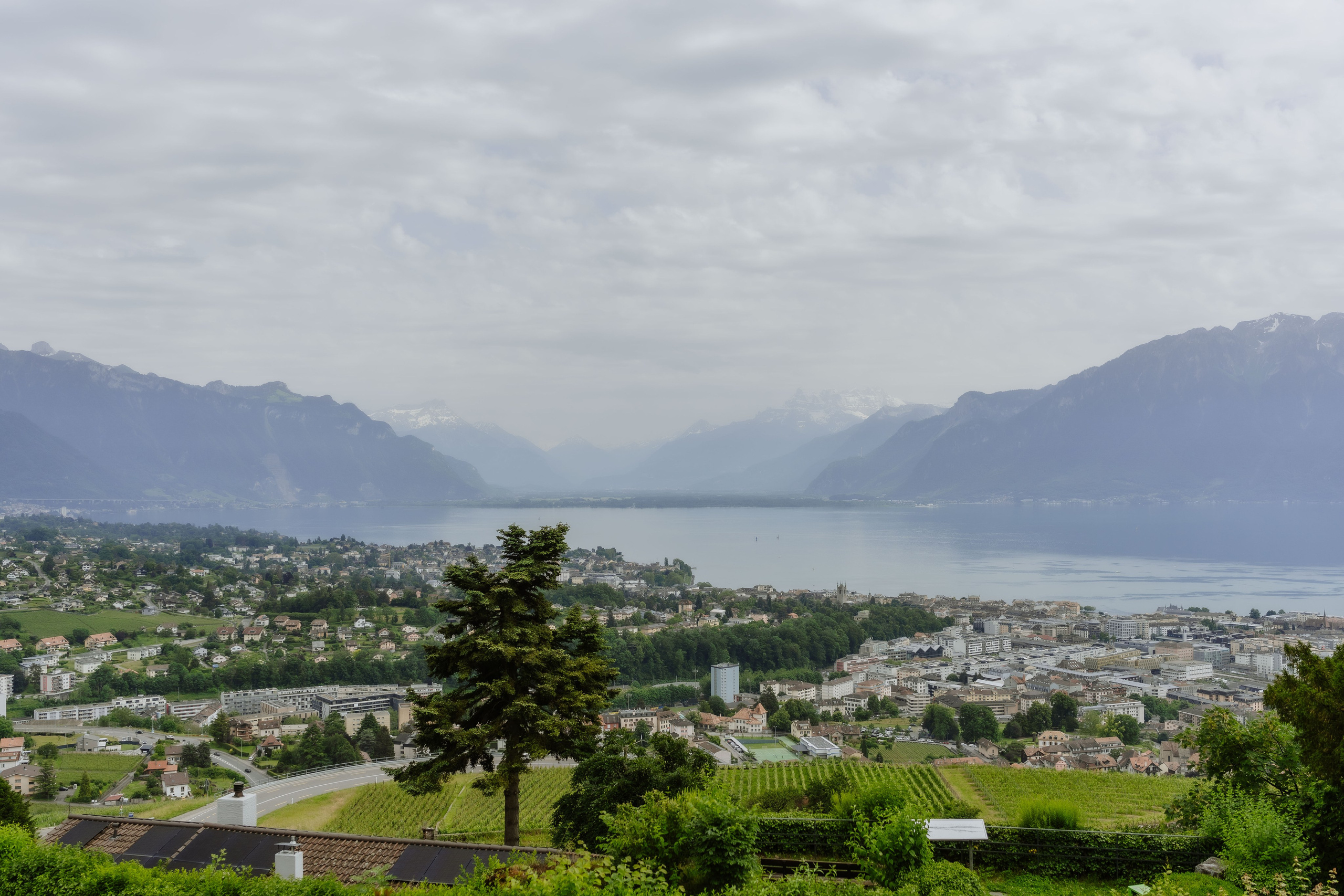 Altynay & Raphaёl | Vevey. Photographe de Mariage Professionnelle — Genève & Suisse Romande | Tanya Creator