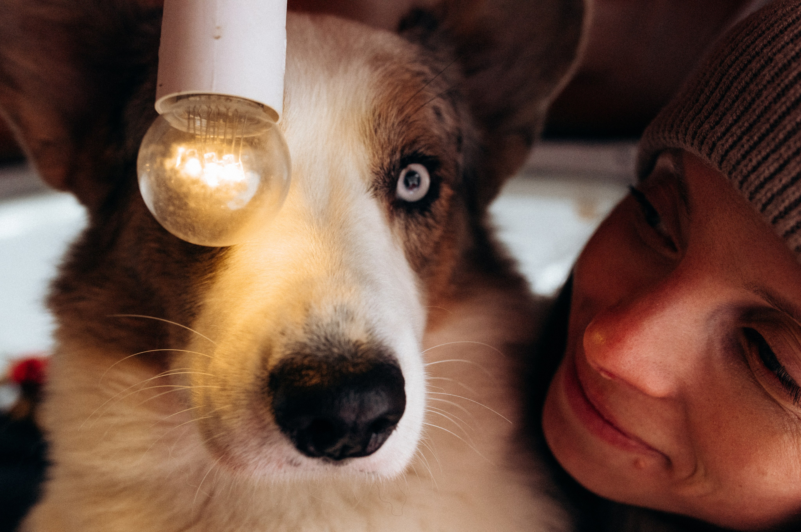 Маша и Дэф. Фотограф анималист в Москве Ольга Агушева