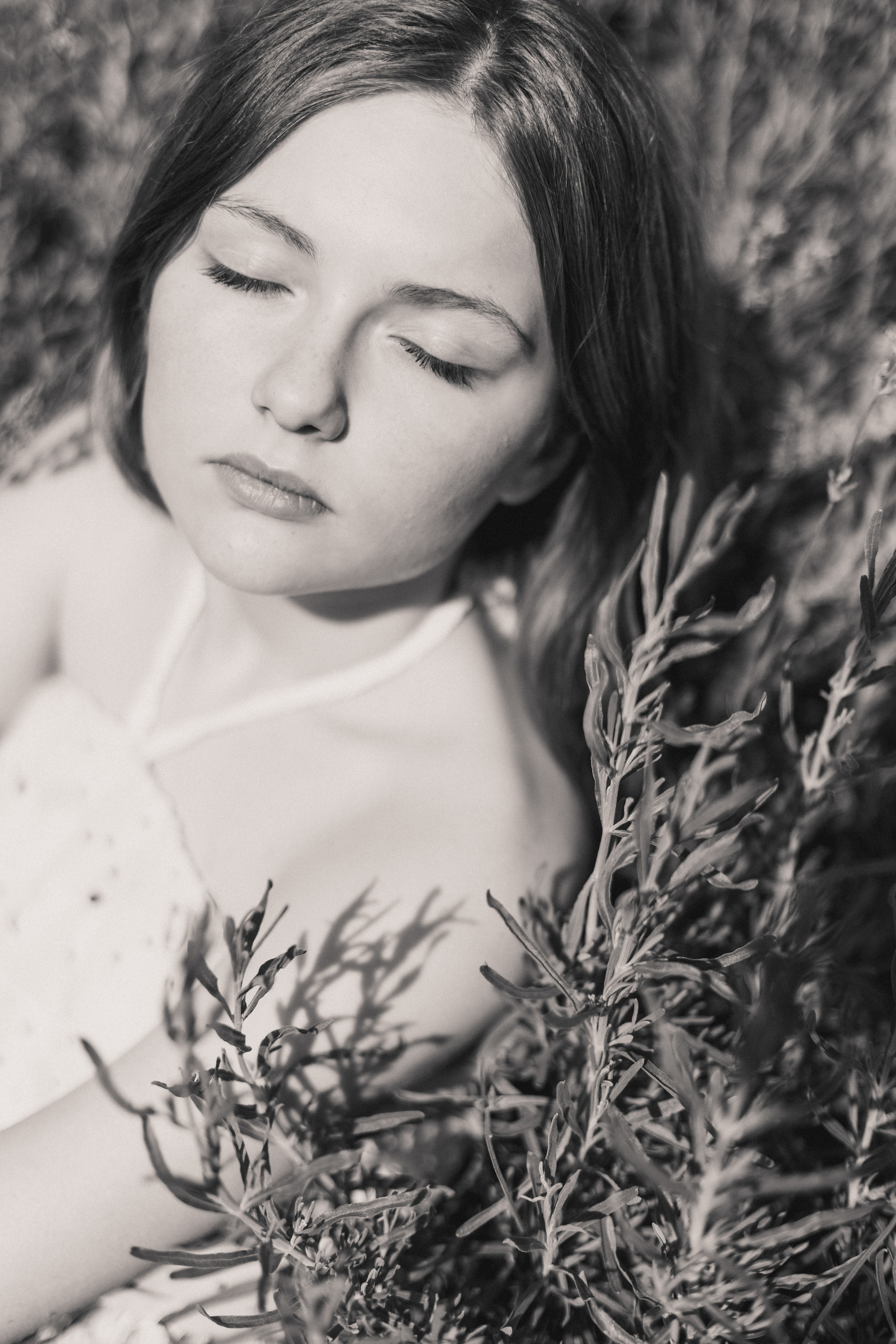 Daria. Воройская Анна