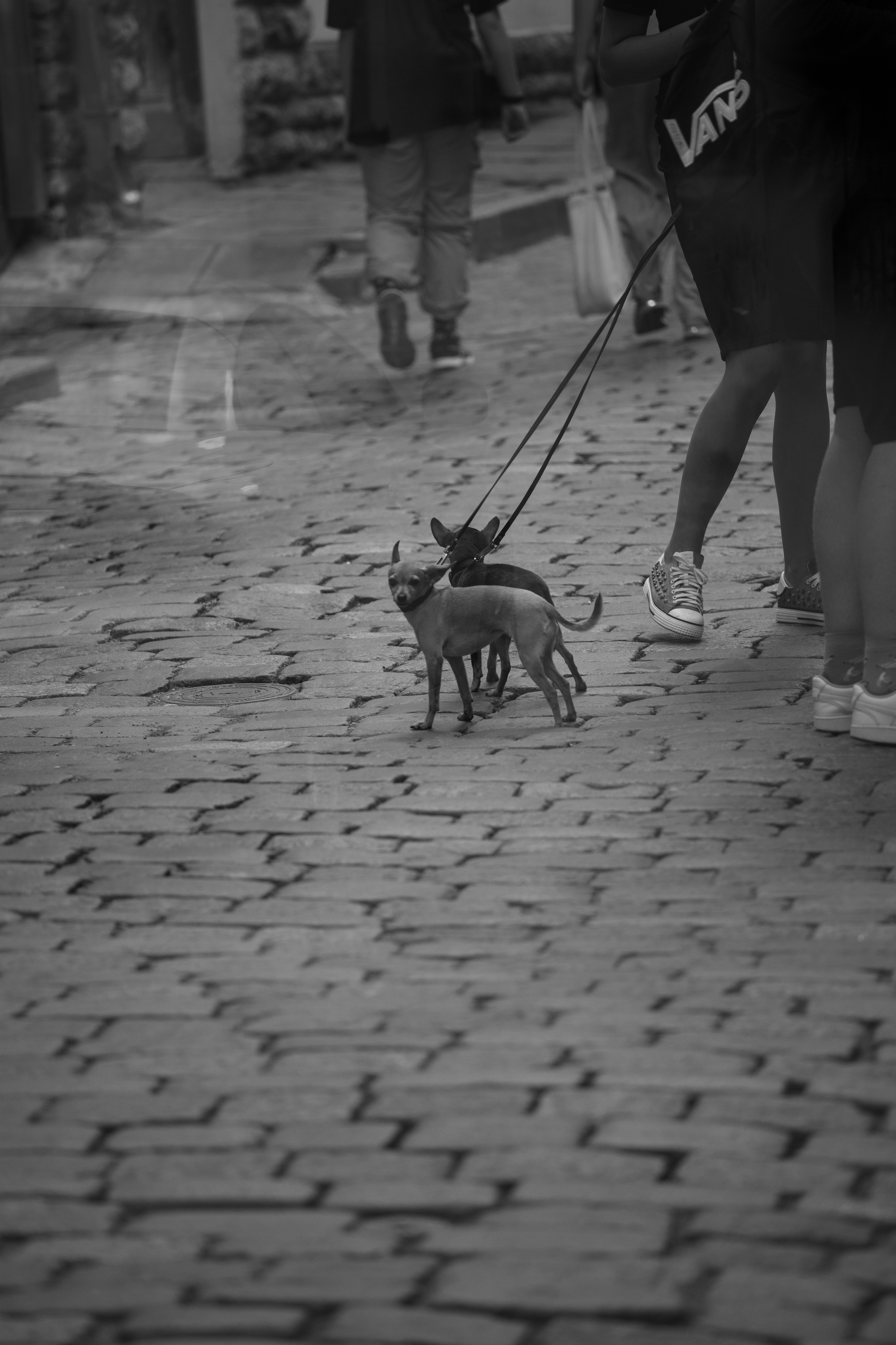 Estonia, Old Town. Воройская Анна