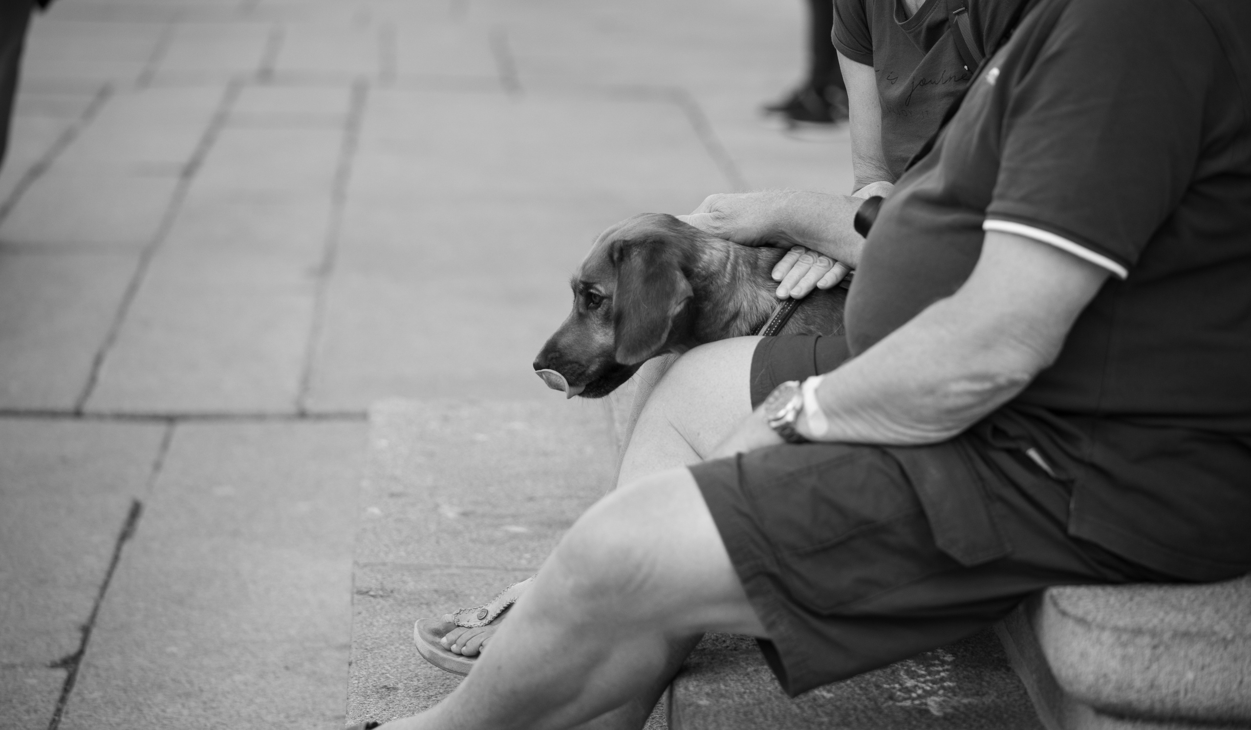 Estonia, Old Town. Воройская Анна