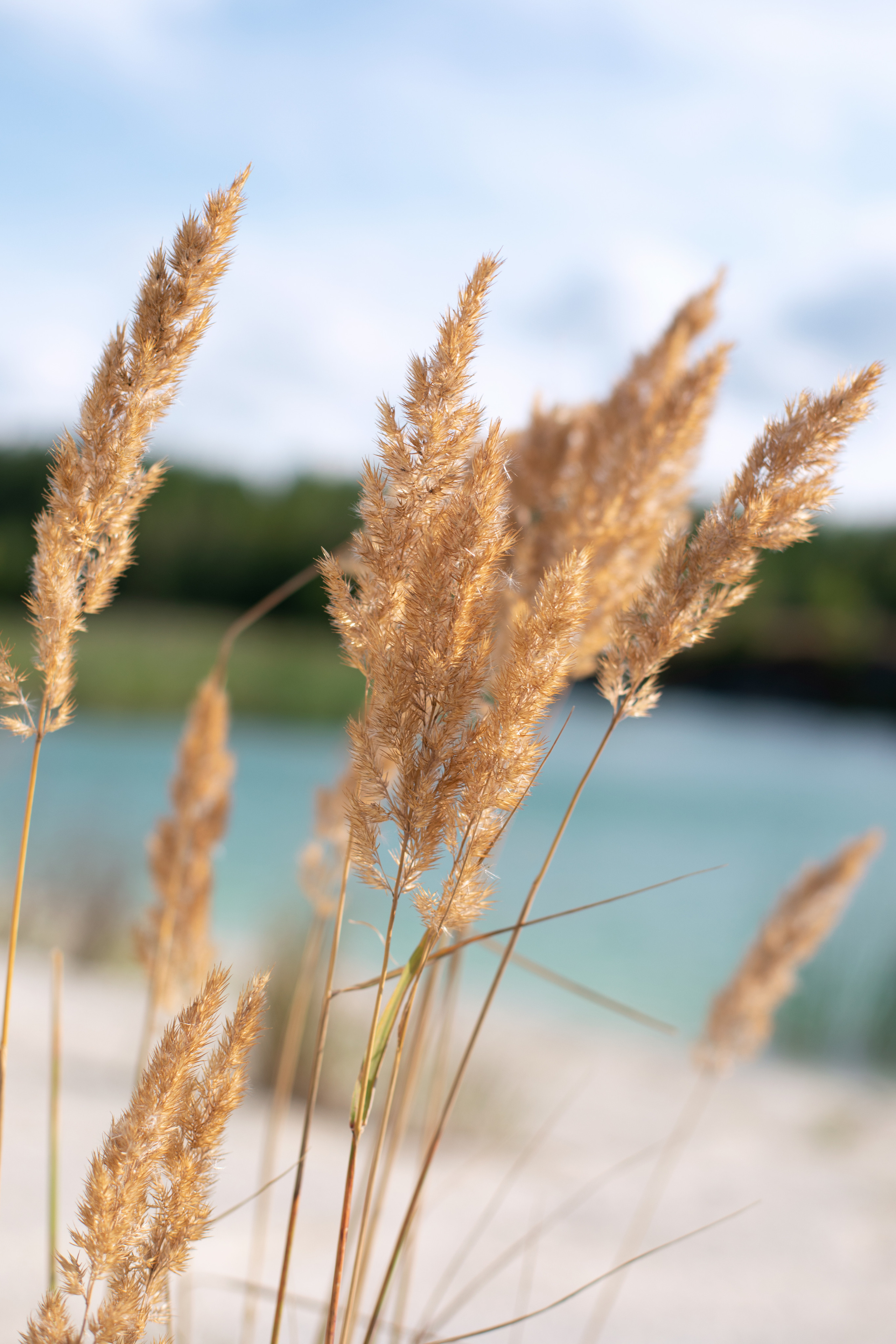 Estonia, Rummu. Воройская Анна