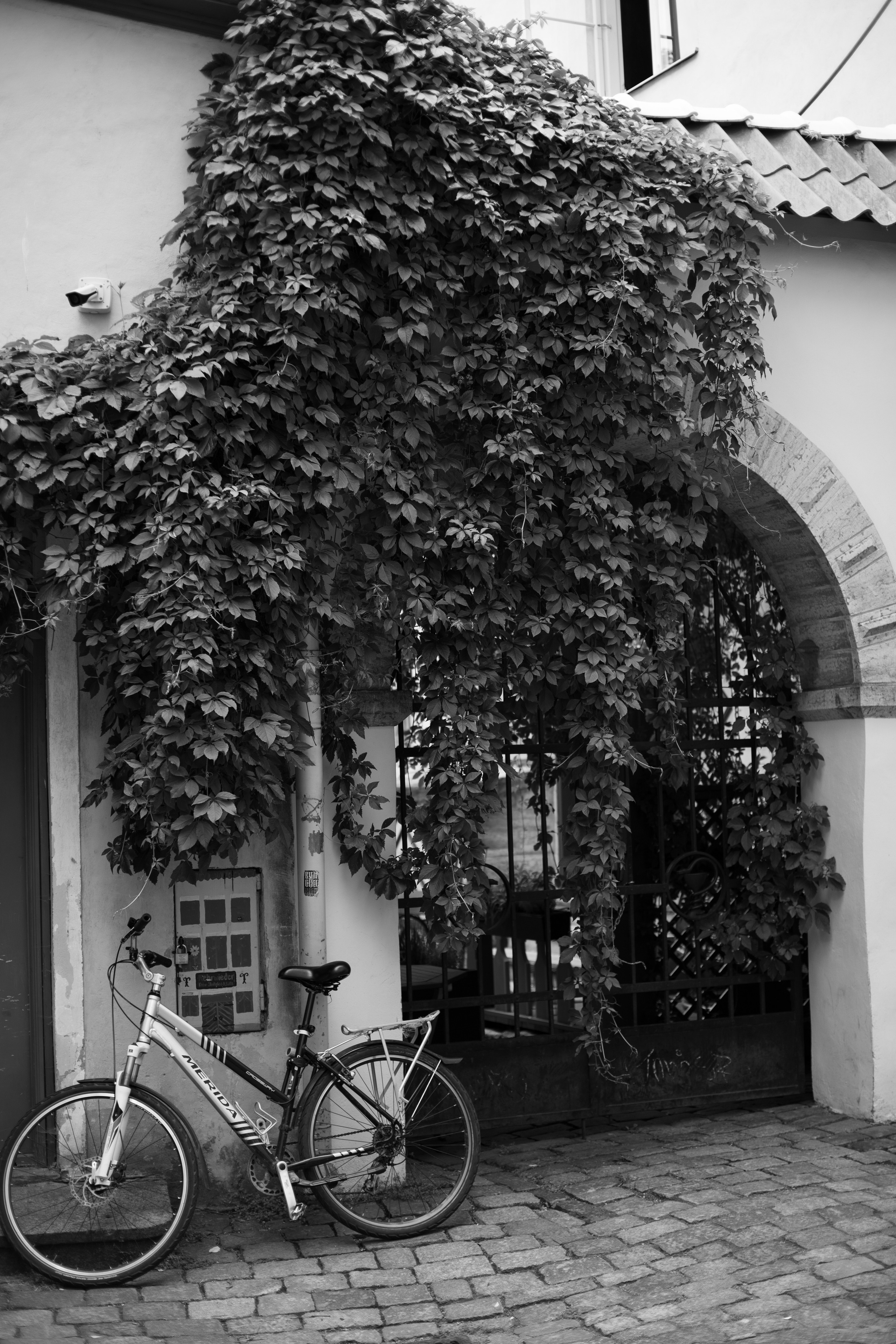 Estonia, Old Town. Воройская Анна