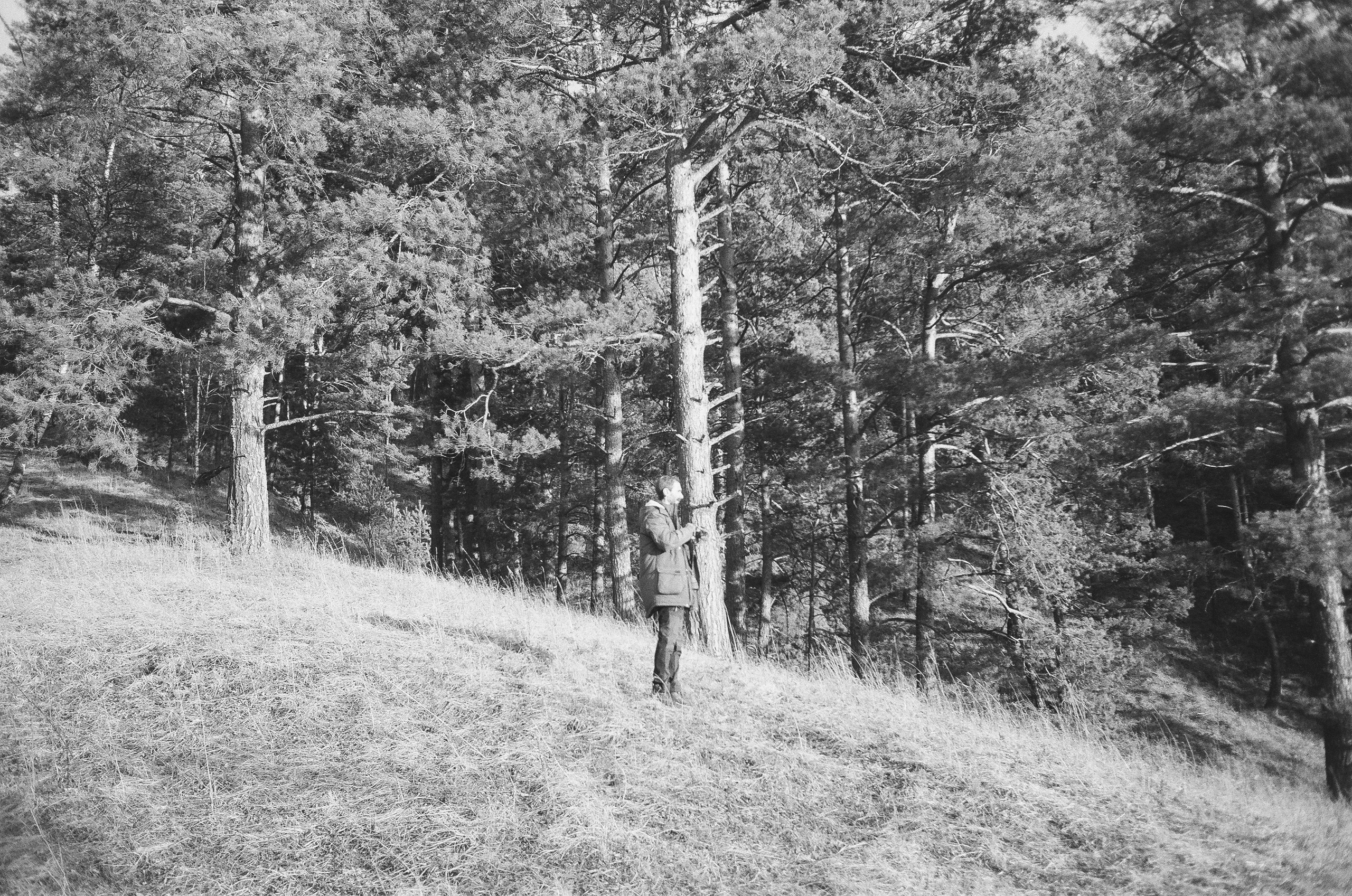 Деревня Берендеевка и кафе Лампа в верхах Алтая. Горы и поля Чемала. Фотограф-документалист Мария Осокина