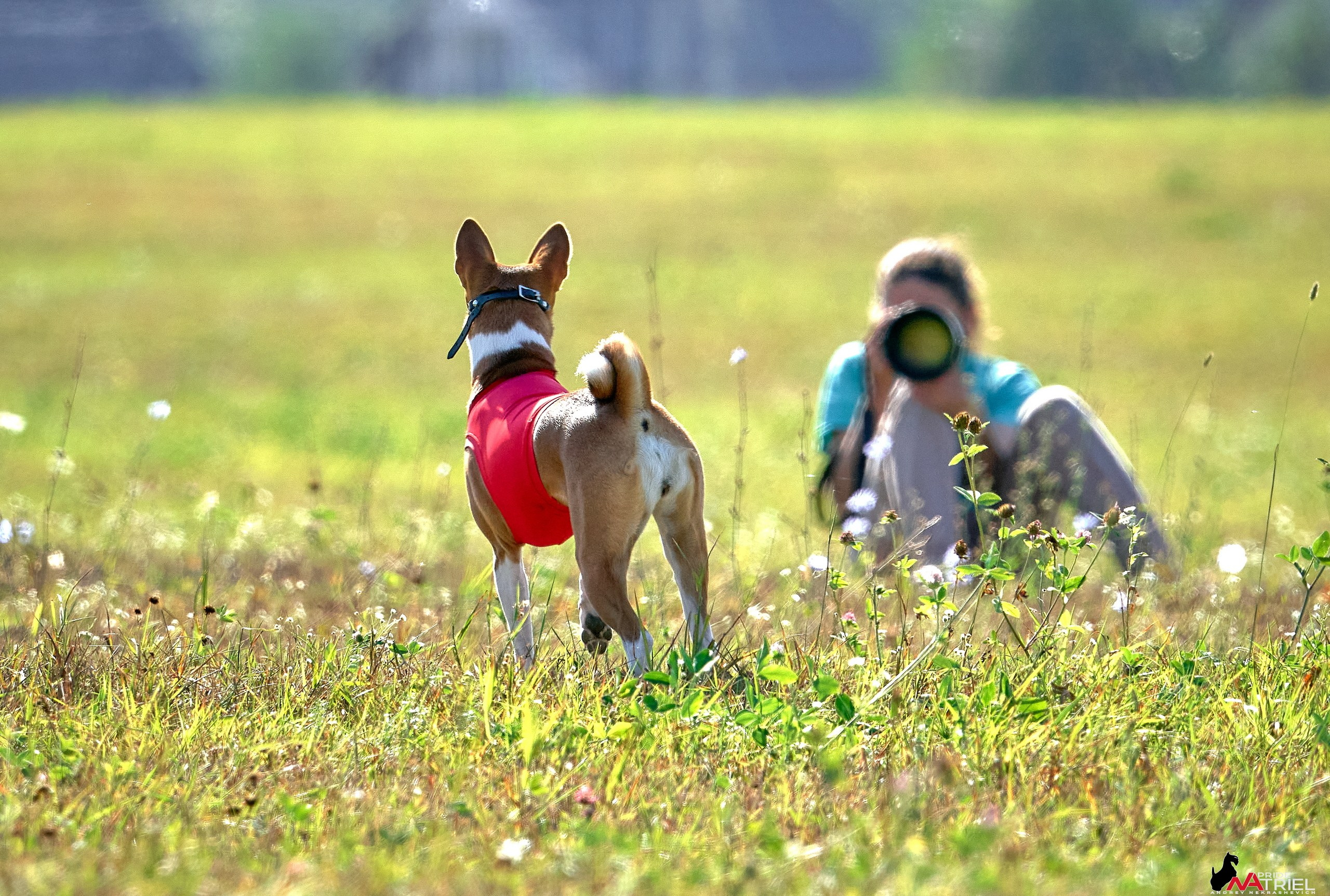 Съемка курсинг — галерея NATRIEL