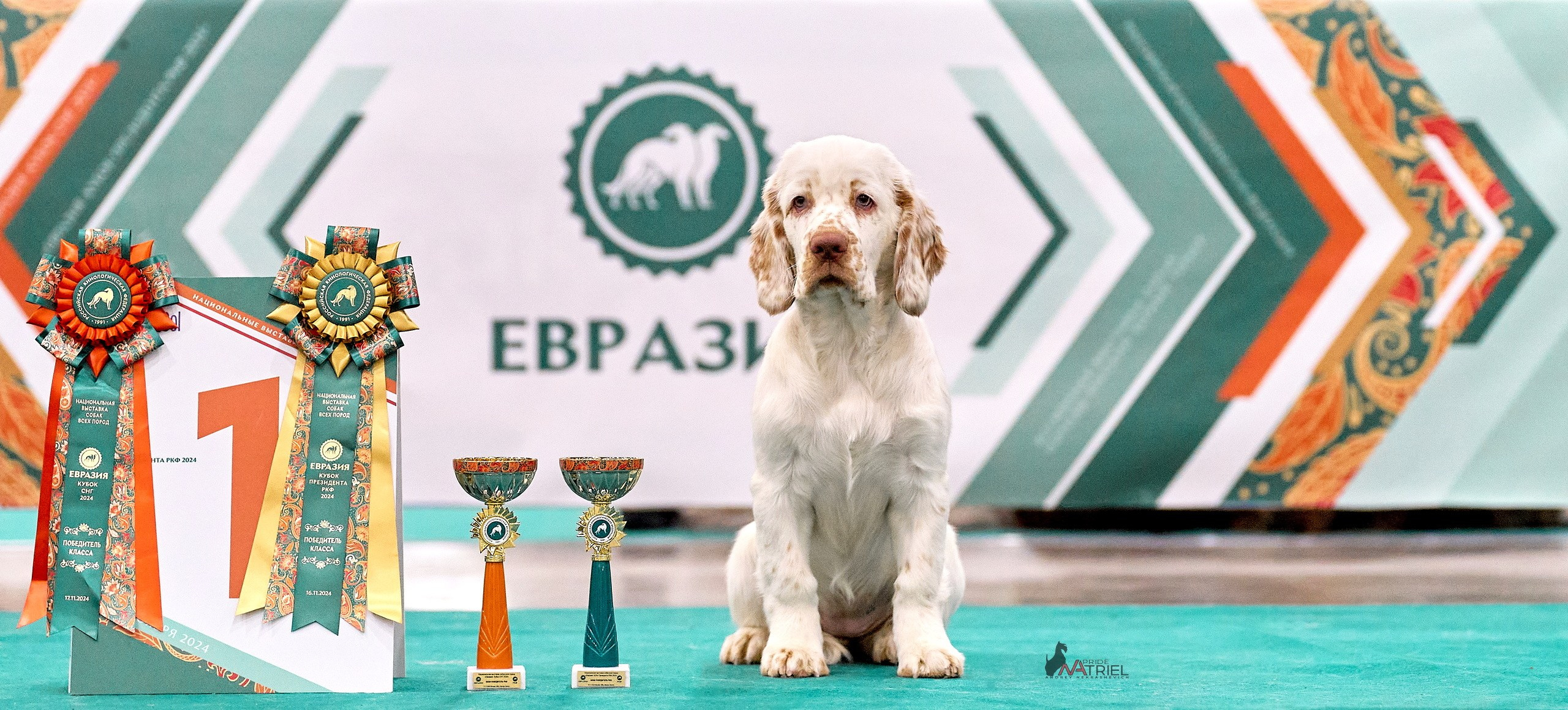 Призовые места — галерея NATRIEL