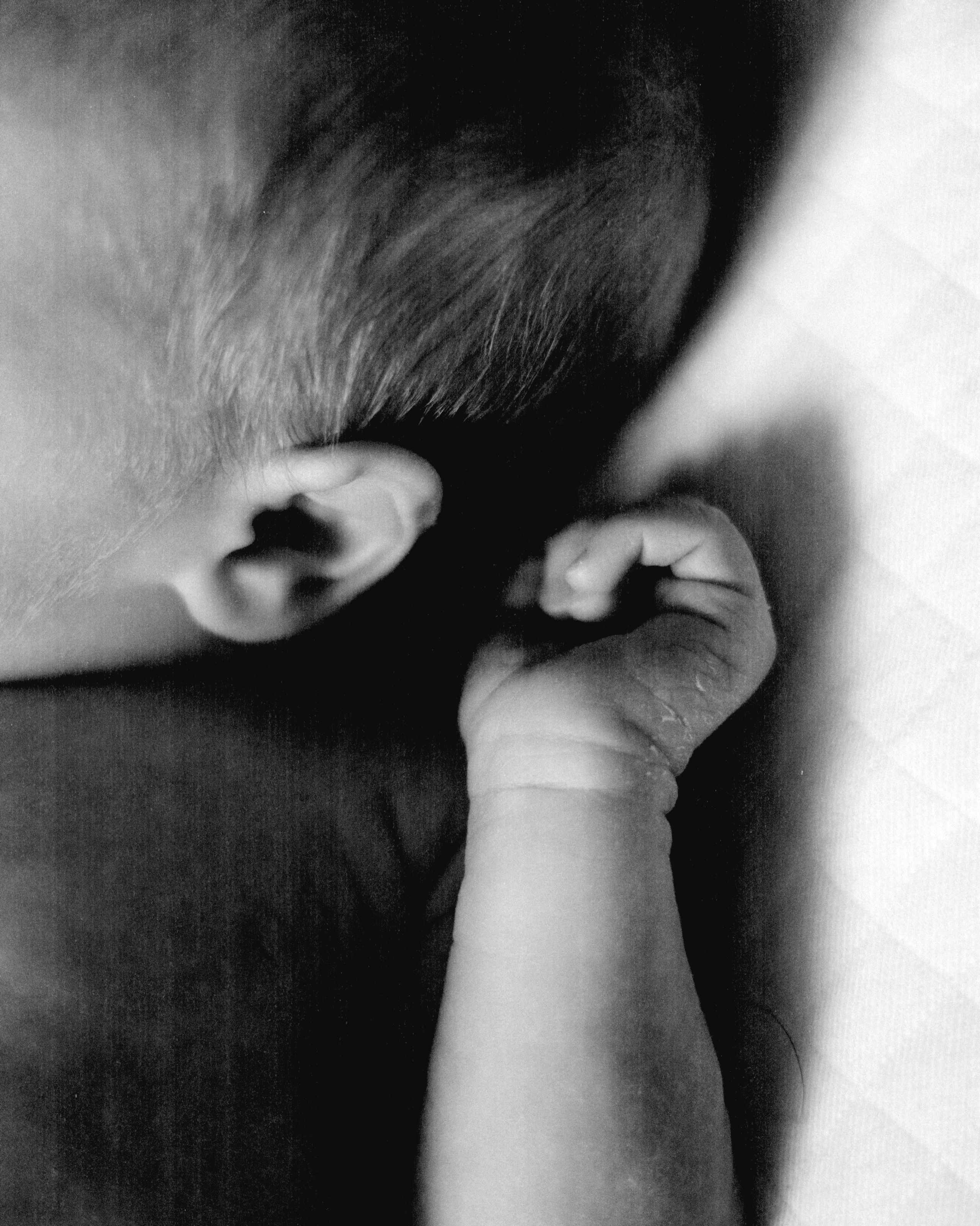 Gosha. SHILOVA PHOTO. Шилова Екатерина. Фотограф. Москва