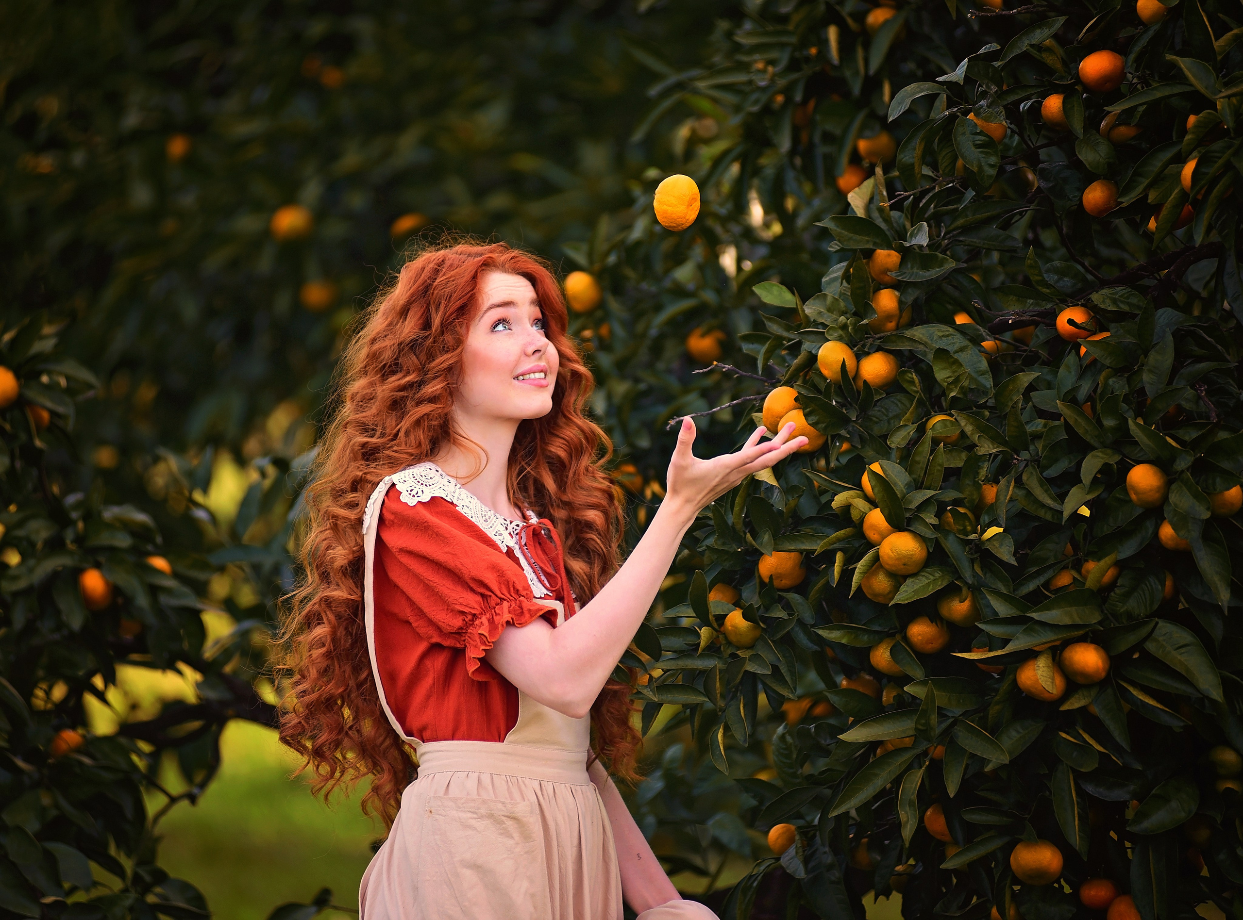 Мандарины. Главная