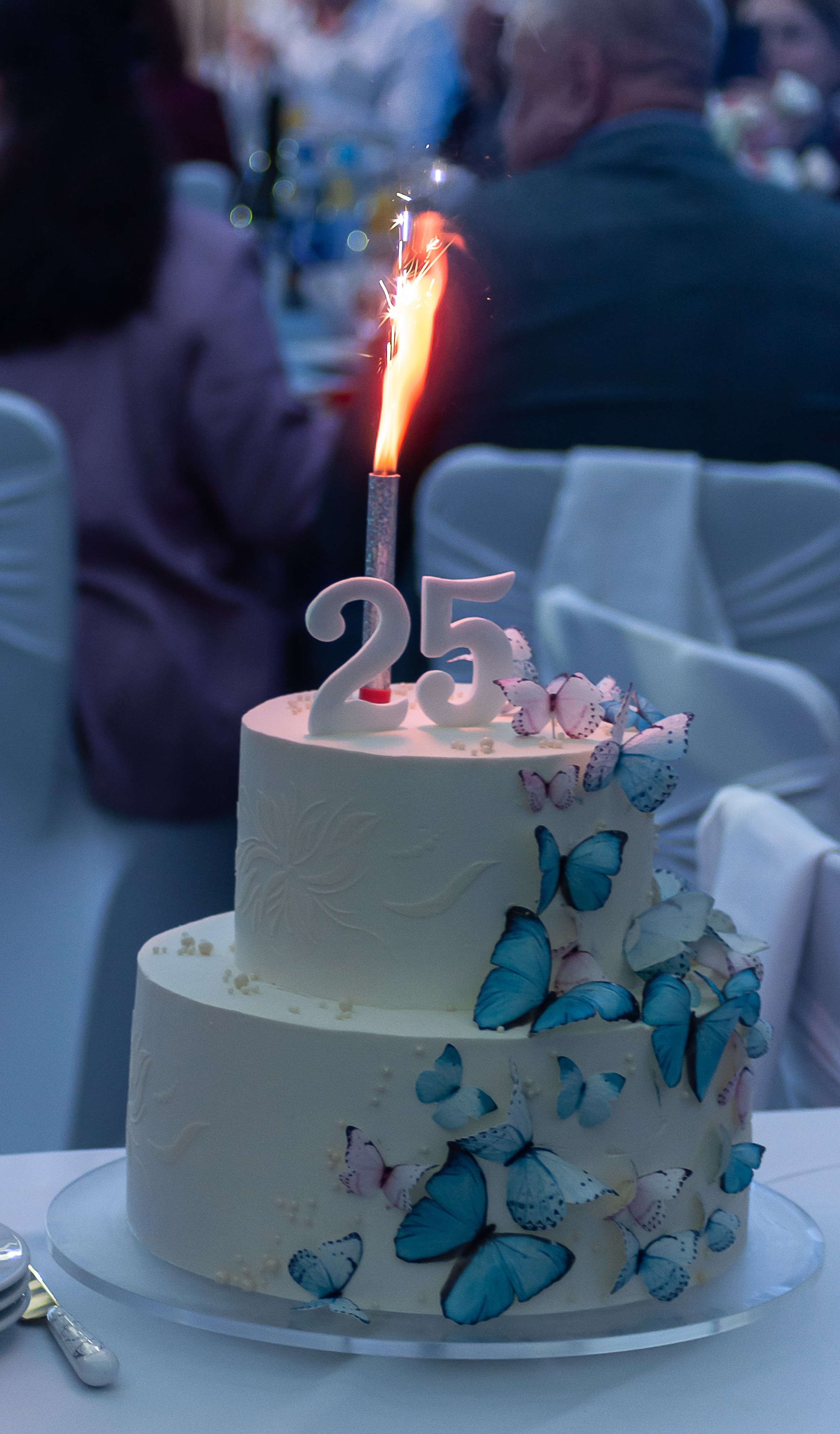 25 лет добра: праздник Самарского хосписа в фотографиях. Тёплые моменты, искренние эмоции и праздник, который останется в памяти. Фотограф Самара — репортажная, свадебная, интерьерная съёмка от Ильи Петрова, профессионала своего дела