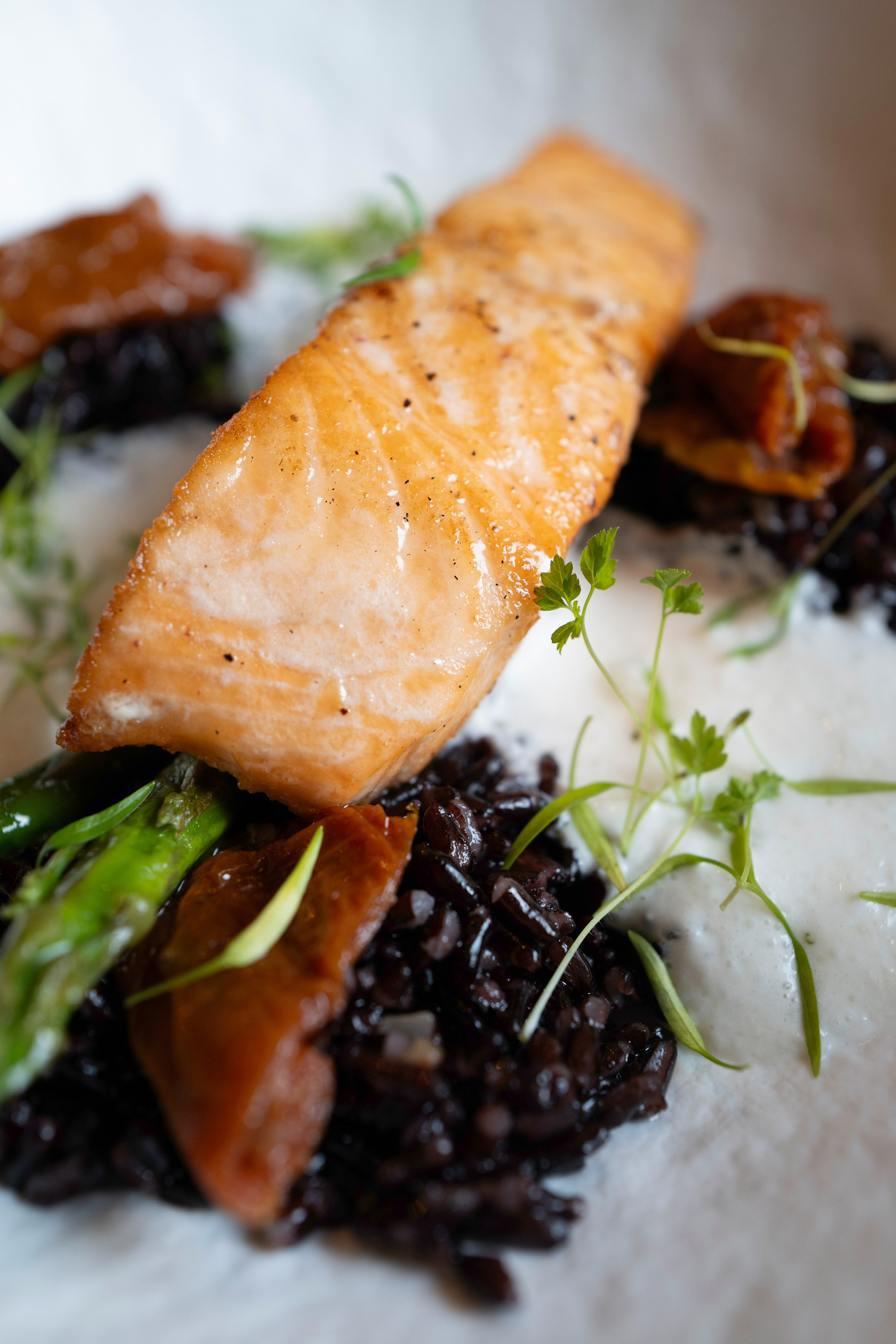 Рестораны. Maxon Magnusson