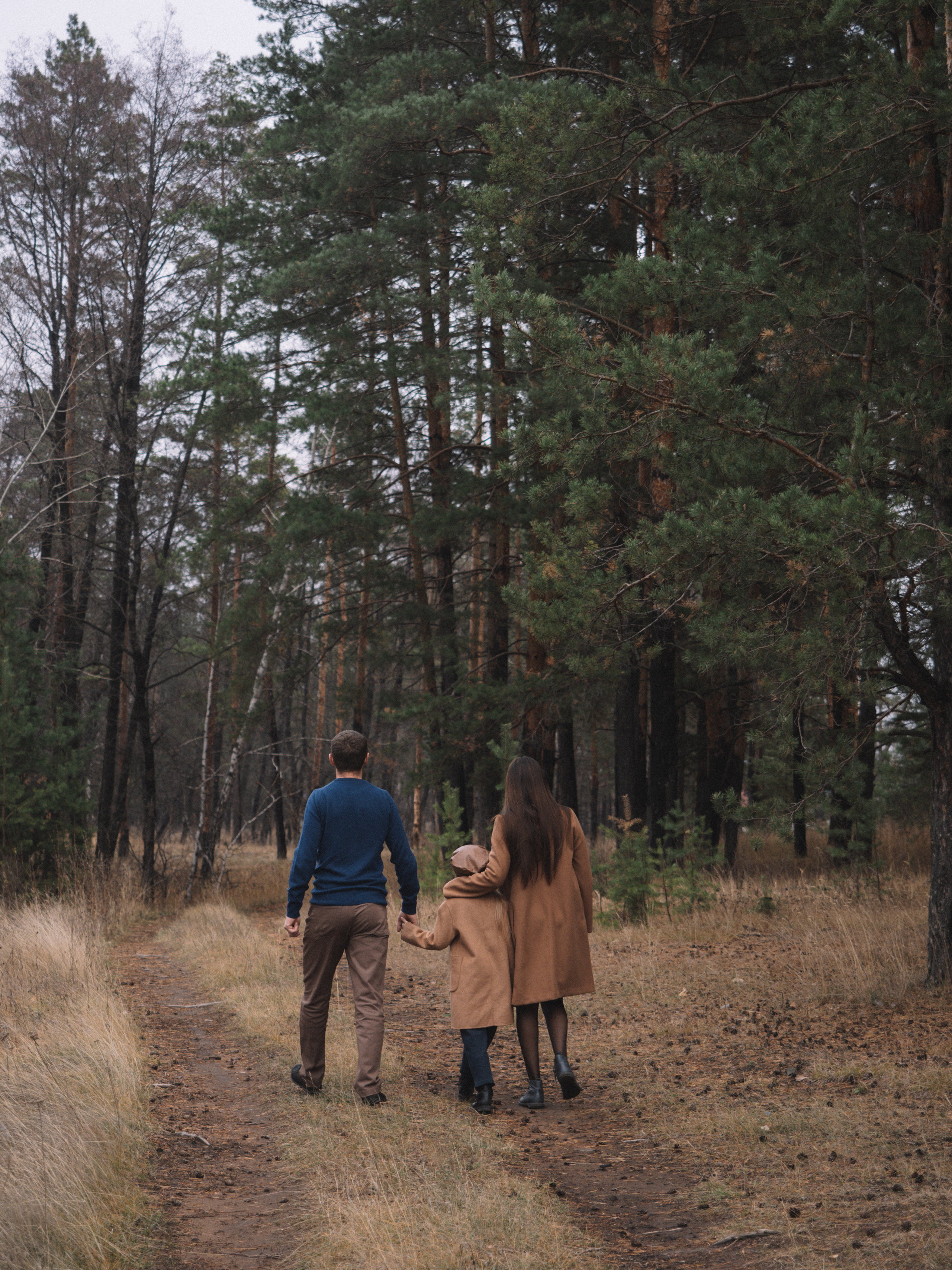 Осень в соснах. Семейные и свадебные истории/Love story/Женские портреты