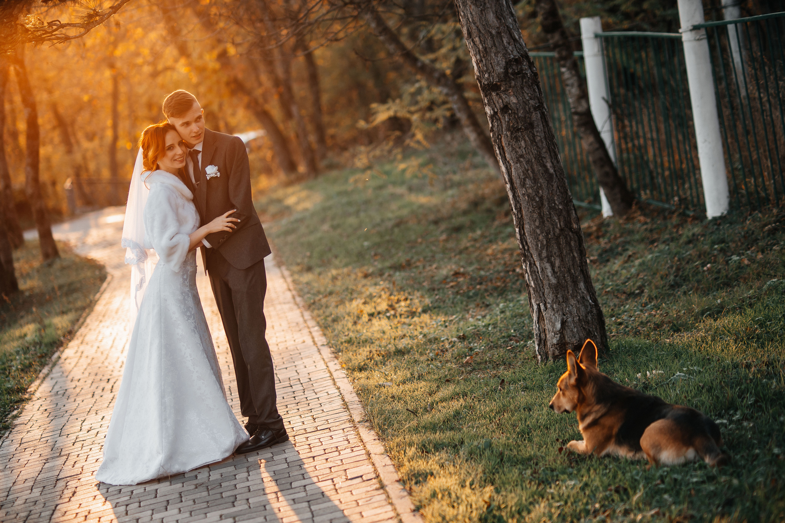 Андрей и Виктория. Фотограф Видеограф Ставрополь, Ставропольский край. Свадьбы, Выпускные