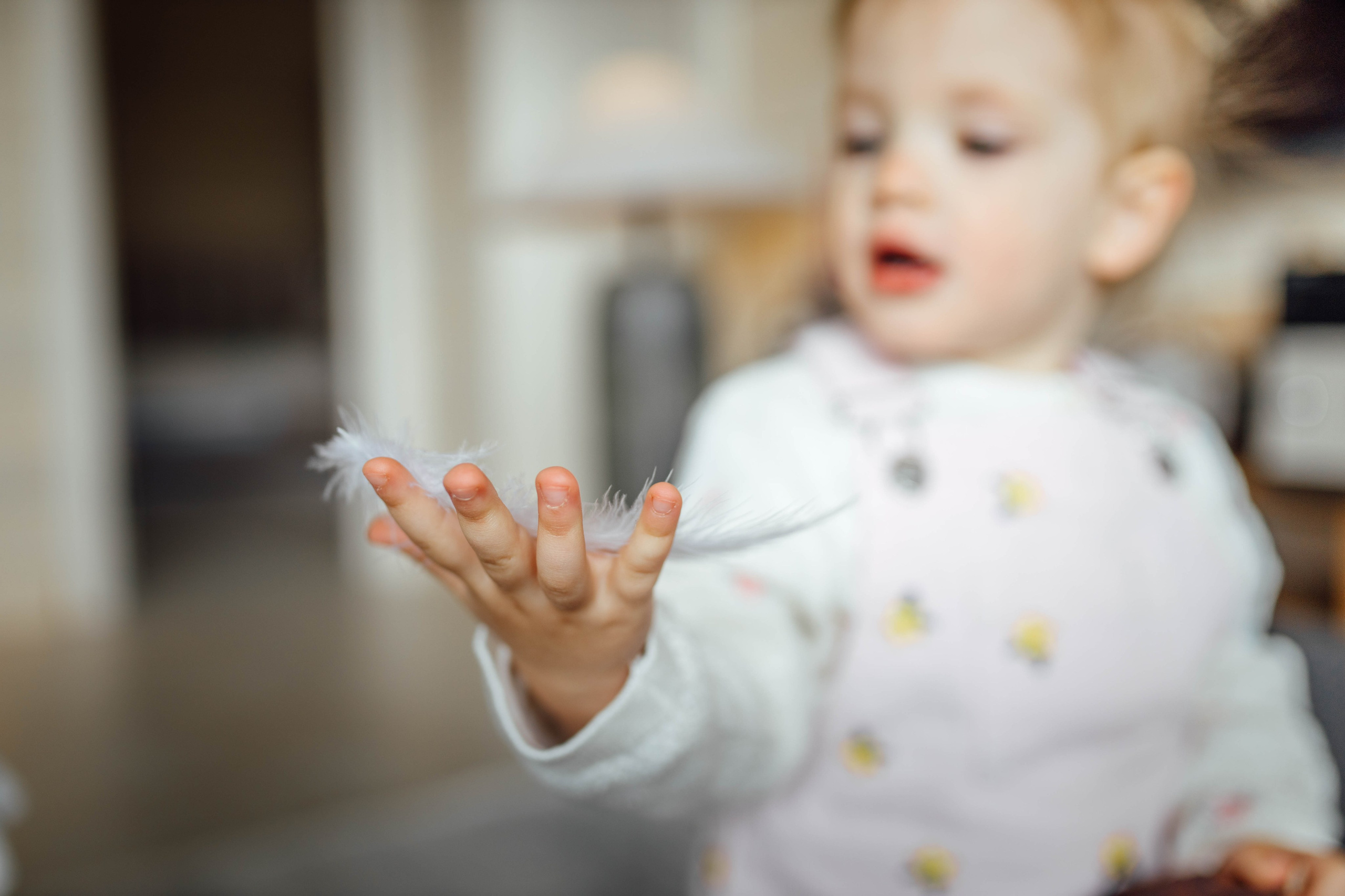 Репортаж дома, др