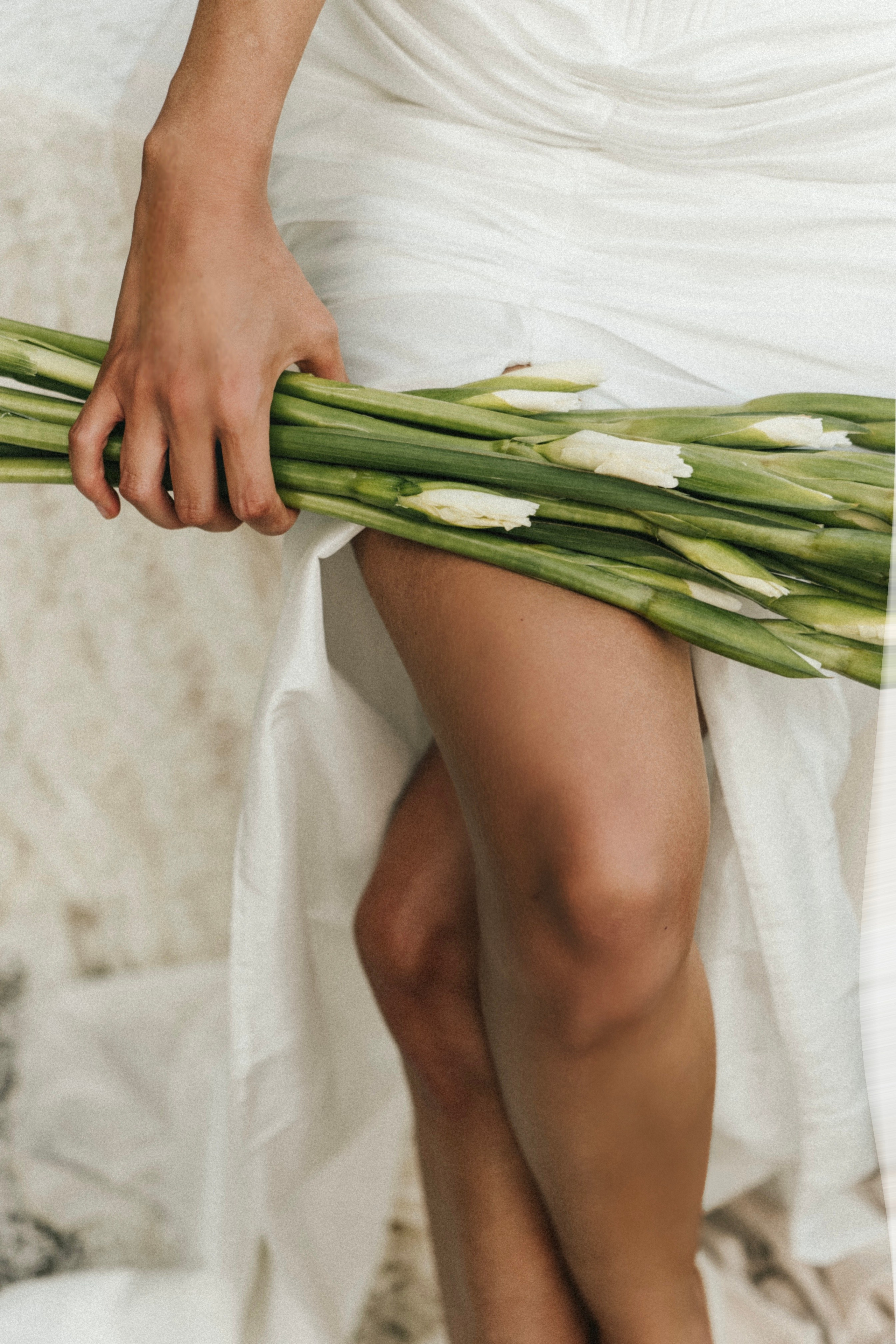 KUSKOVO. Свадебное ФОТО & ВИДЕО Москва/Липецк