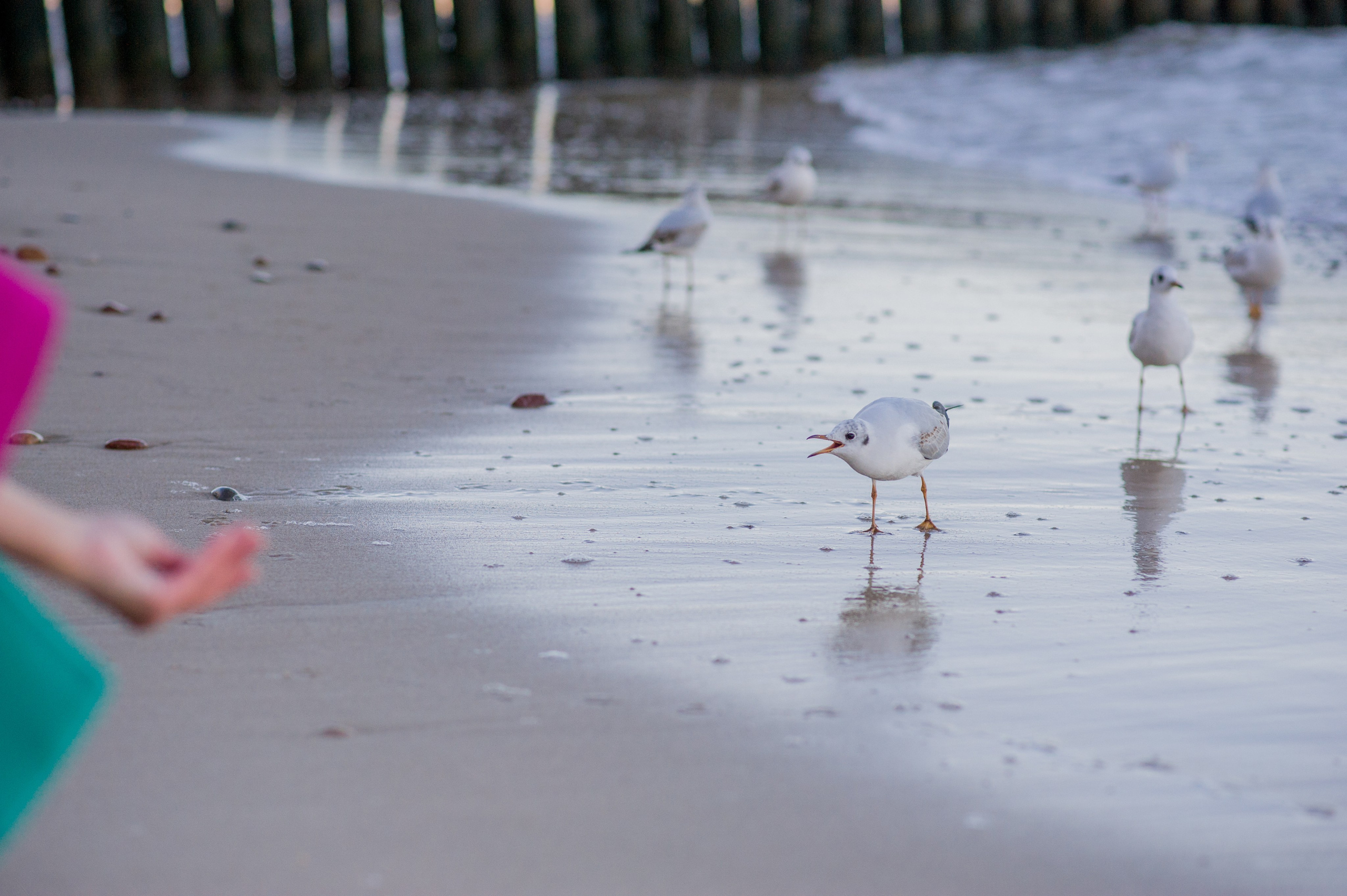 ФОТОПРОГУЛКИ. Фотограф Вера Демидкова