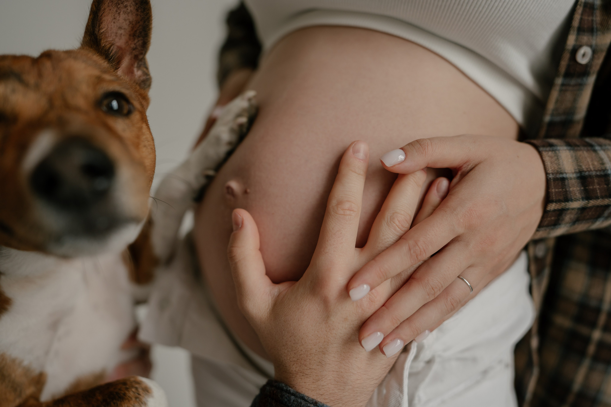 Арина, Антон и Бутс. Свадебный и семейный фотограф в Москве и Красногорске — живые кадры | Анастасия Тихонова