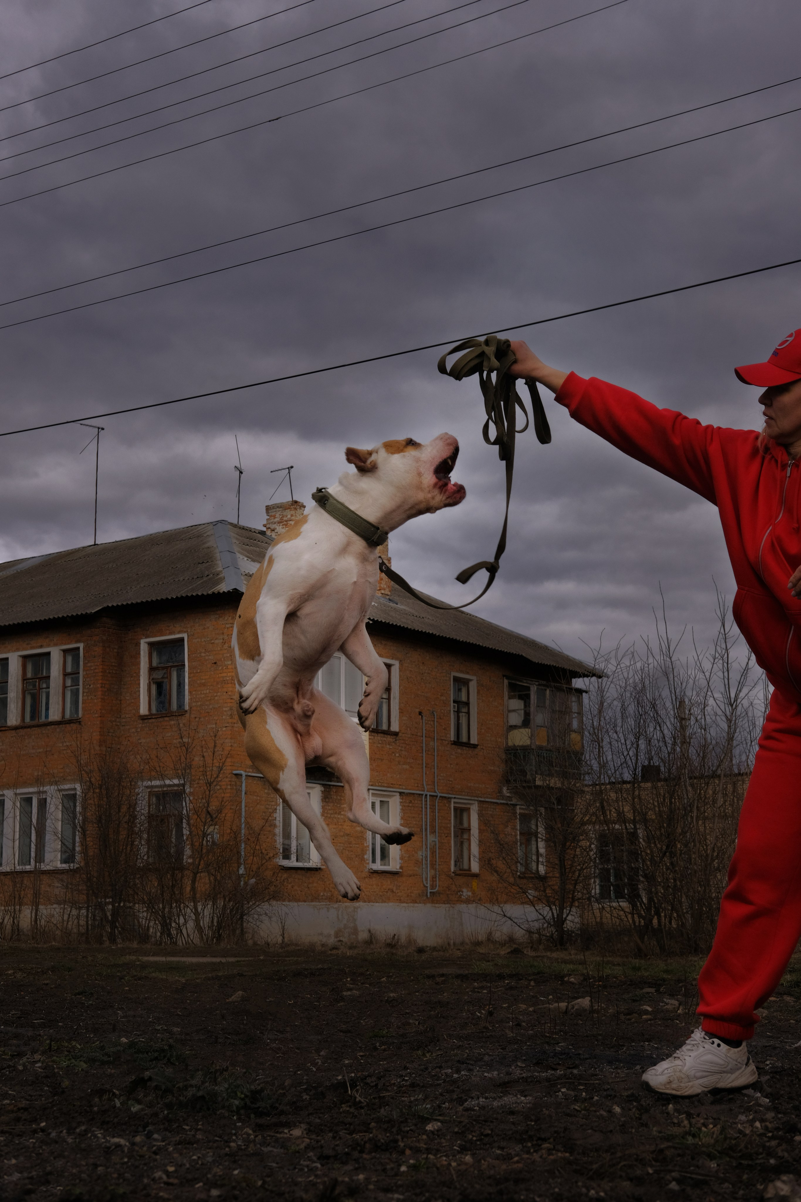 Наталья. Лиза Рязанцева