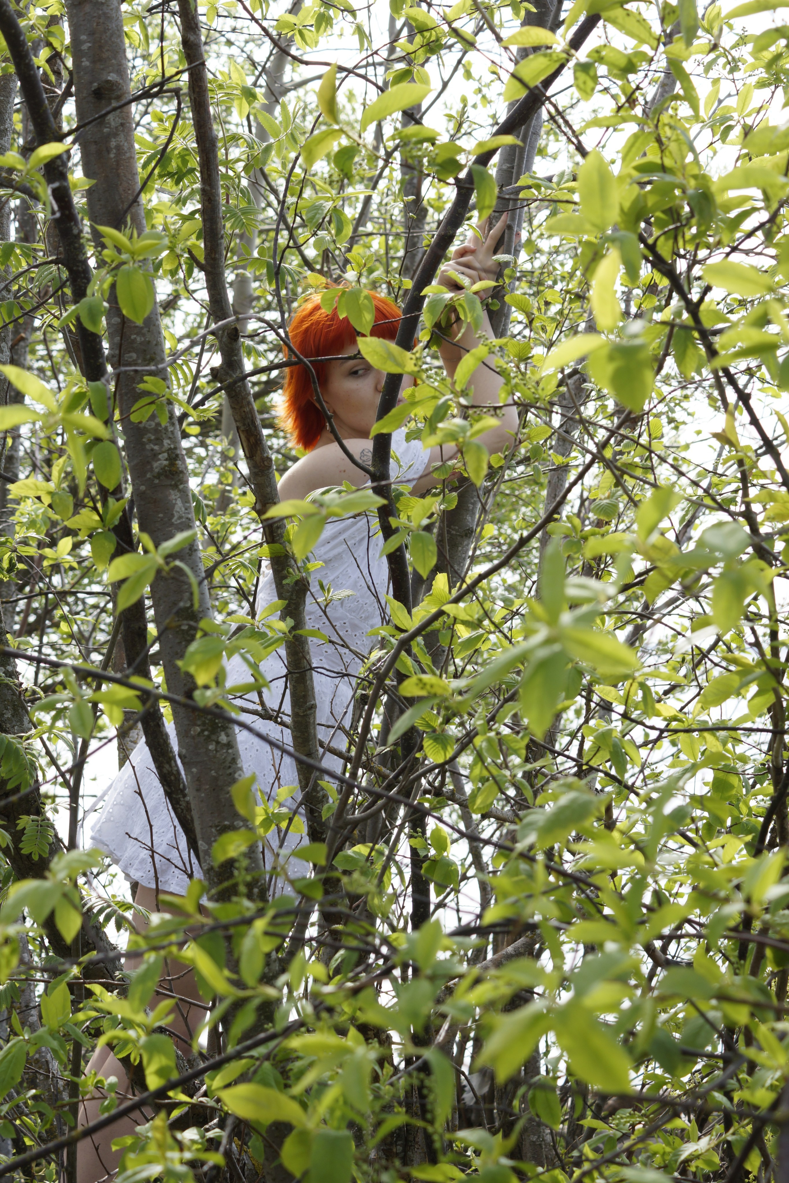 Набор качеств. Потешная фотопленка