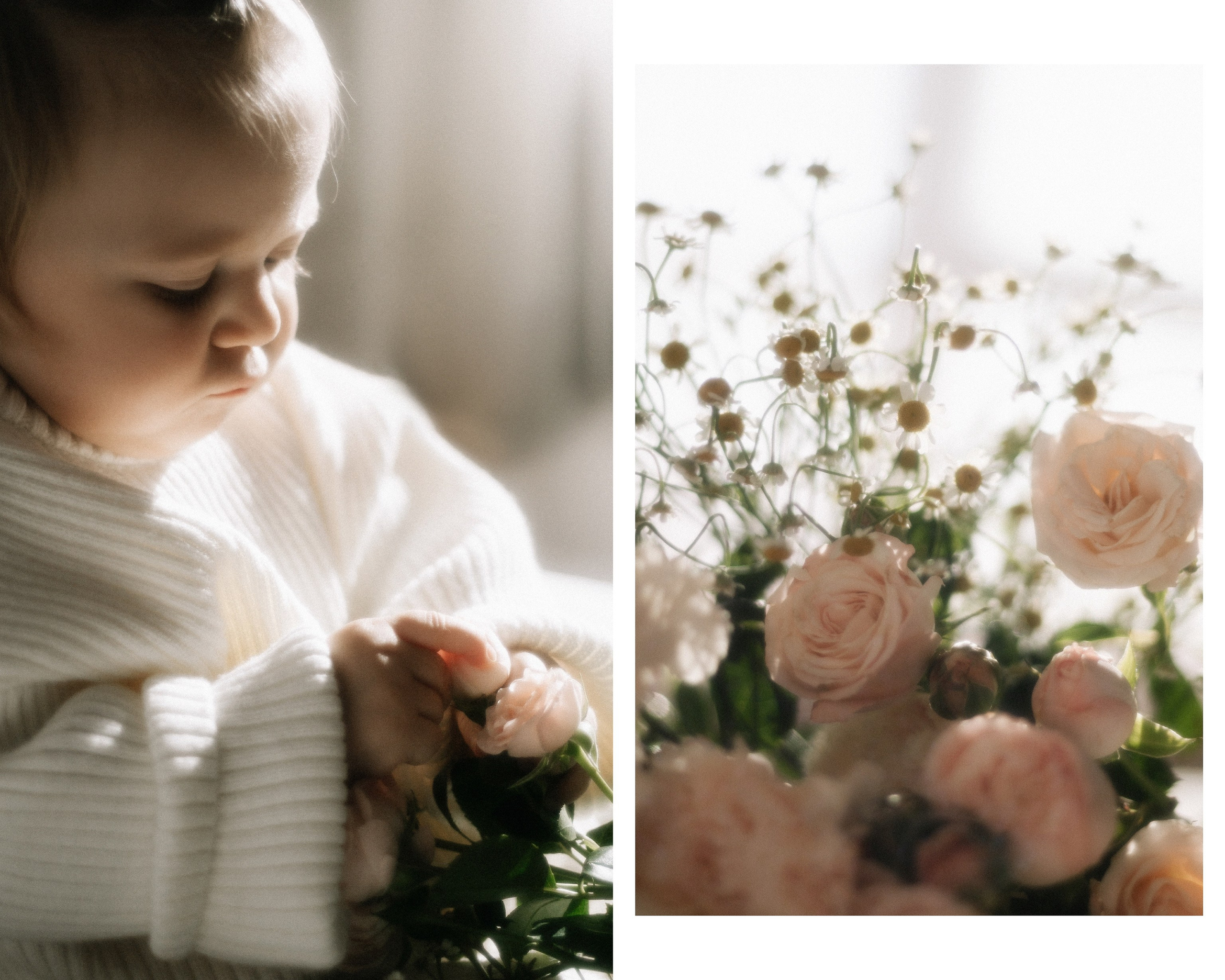 Маленькая София в цветах и лучах декабрьского солнышка. Фотограф в Крыму | Виктория Нотевская