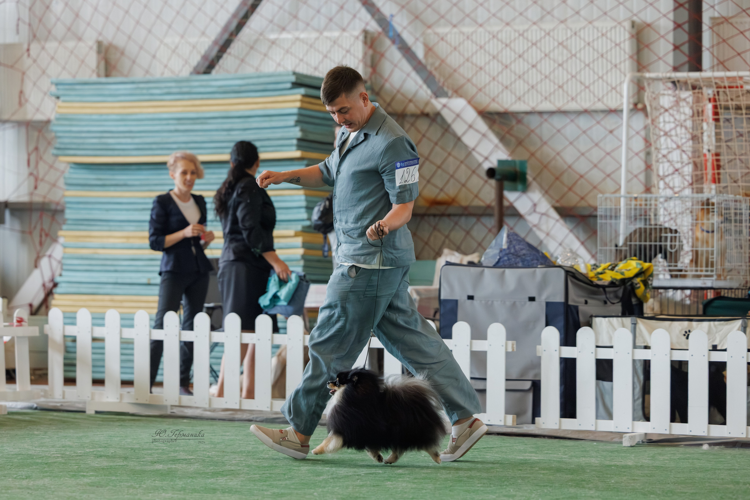 Батуми 3хCACIB 27-29.06.2025. Фотограф-анималист Юлия Германика