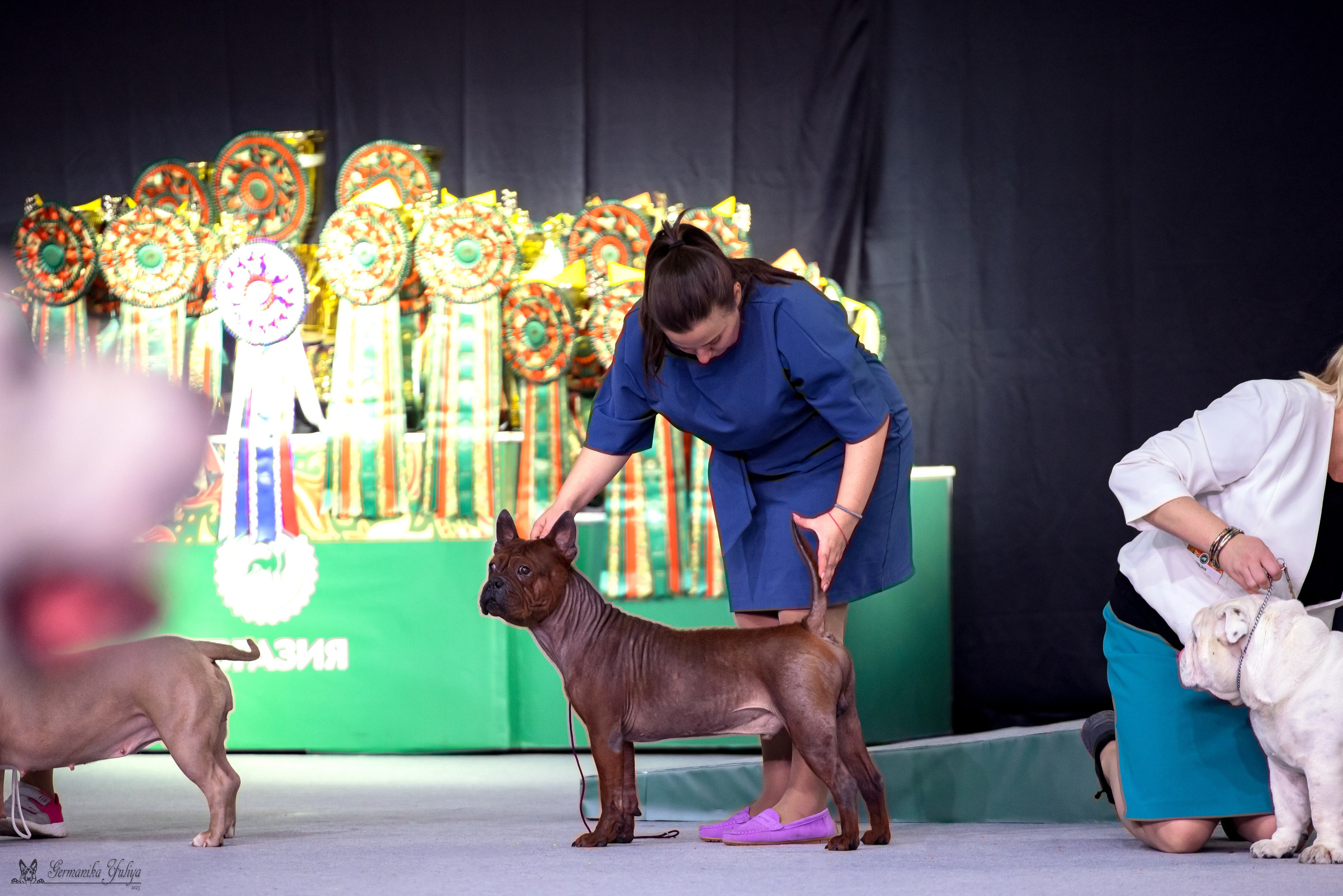 ЕВРАЗИЯ 18-19.11.2023. Фотограф-анималист Юлия Германика