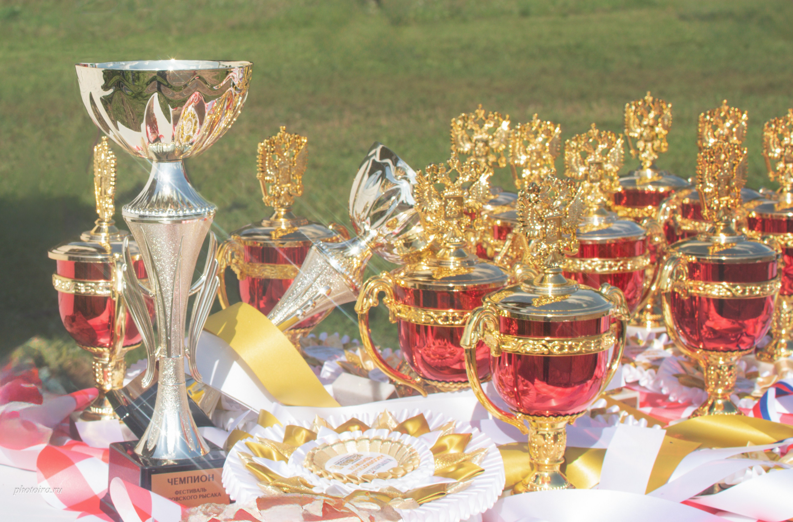 Мероприятия. Семейный фотограф в г. Гатчина