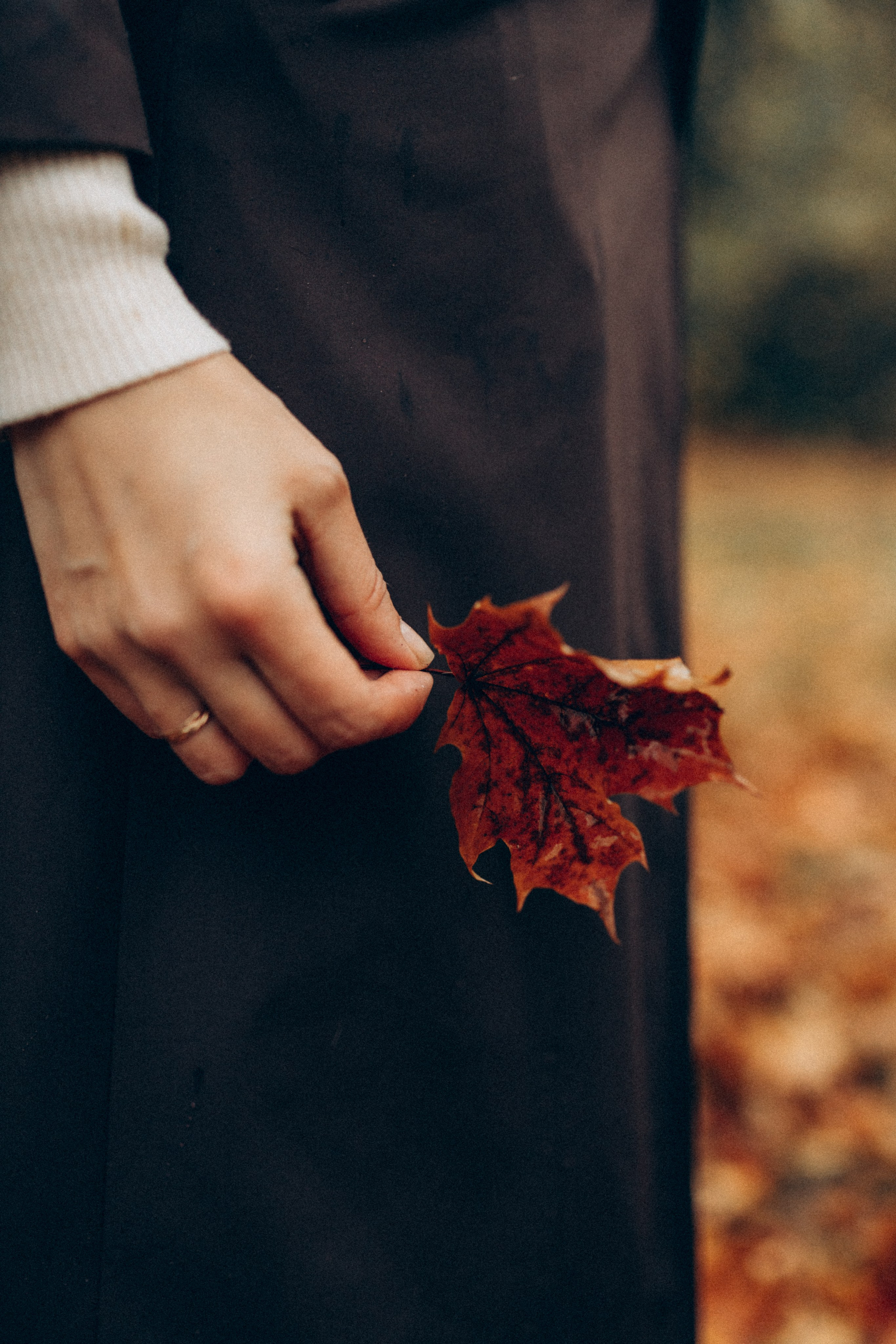 Анфиса & Нисма. Фотограф НОГИНСК, Москва, Анастасия Белая