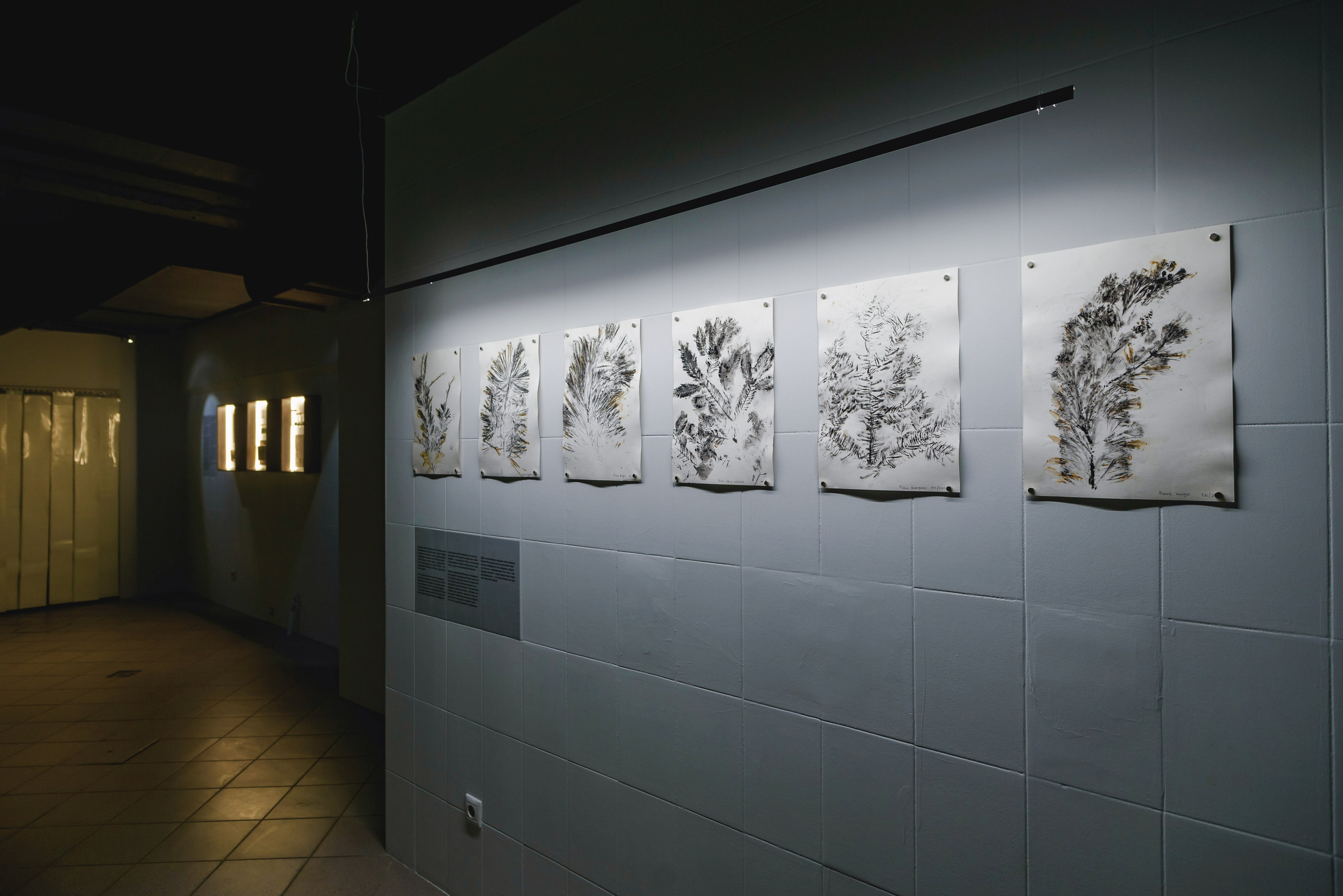 Выставки. Фотограф Руслан Хафизов