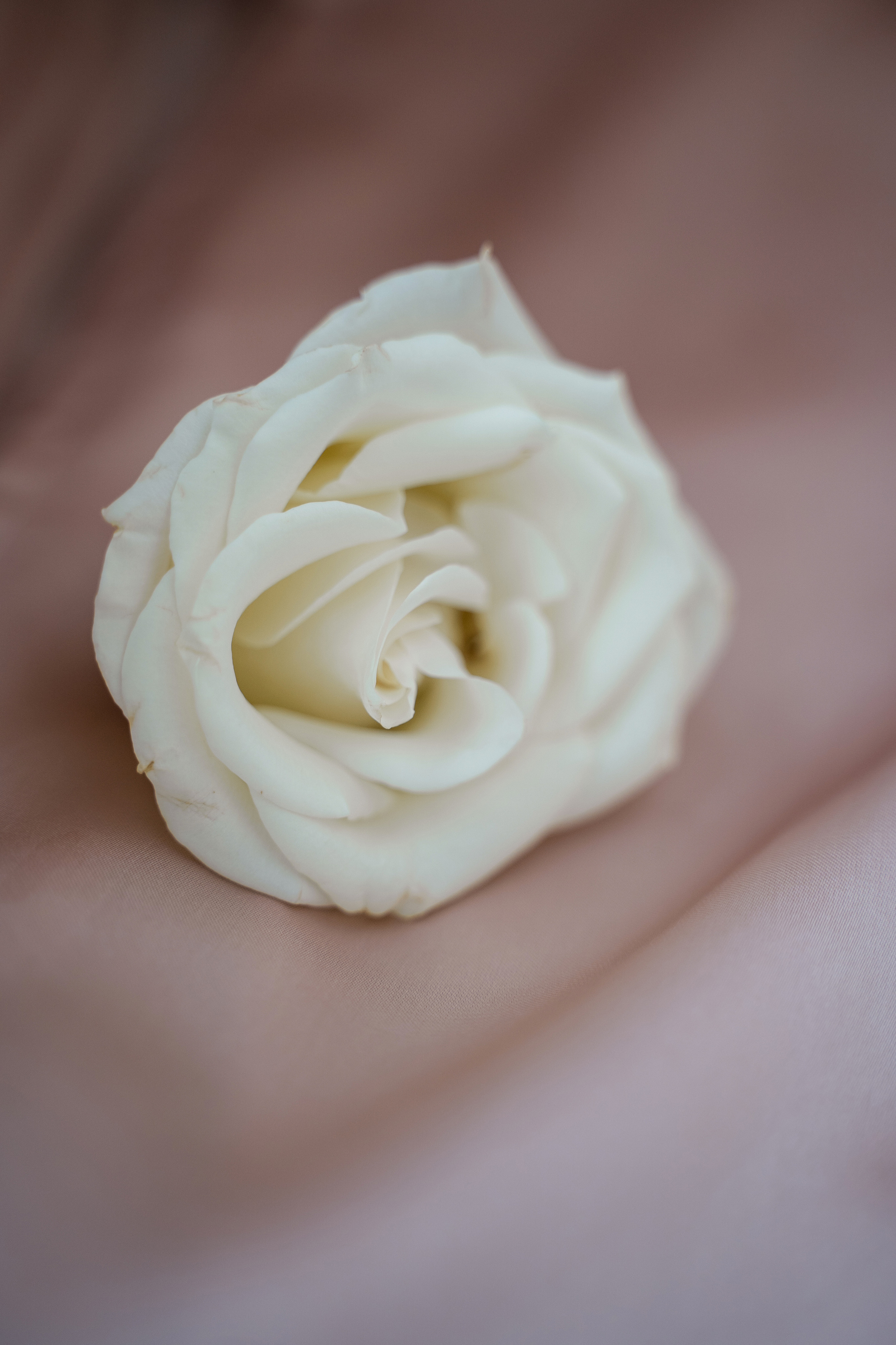 Мария ♥ Максим I Киров. Брендфотограф, фотограф Наталия Ягодкина I Киров I Москва