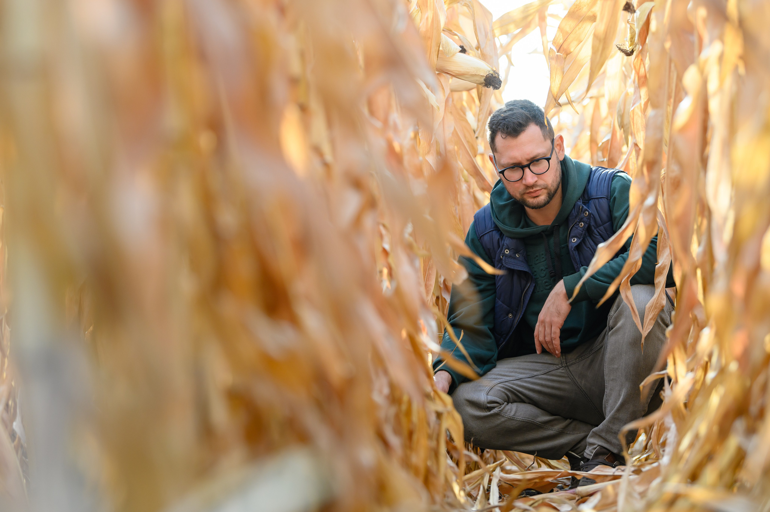 Проекты. Профессиональный фотограф Вячеслав Плацында | Липецк |