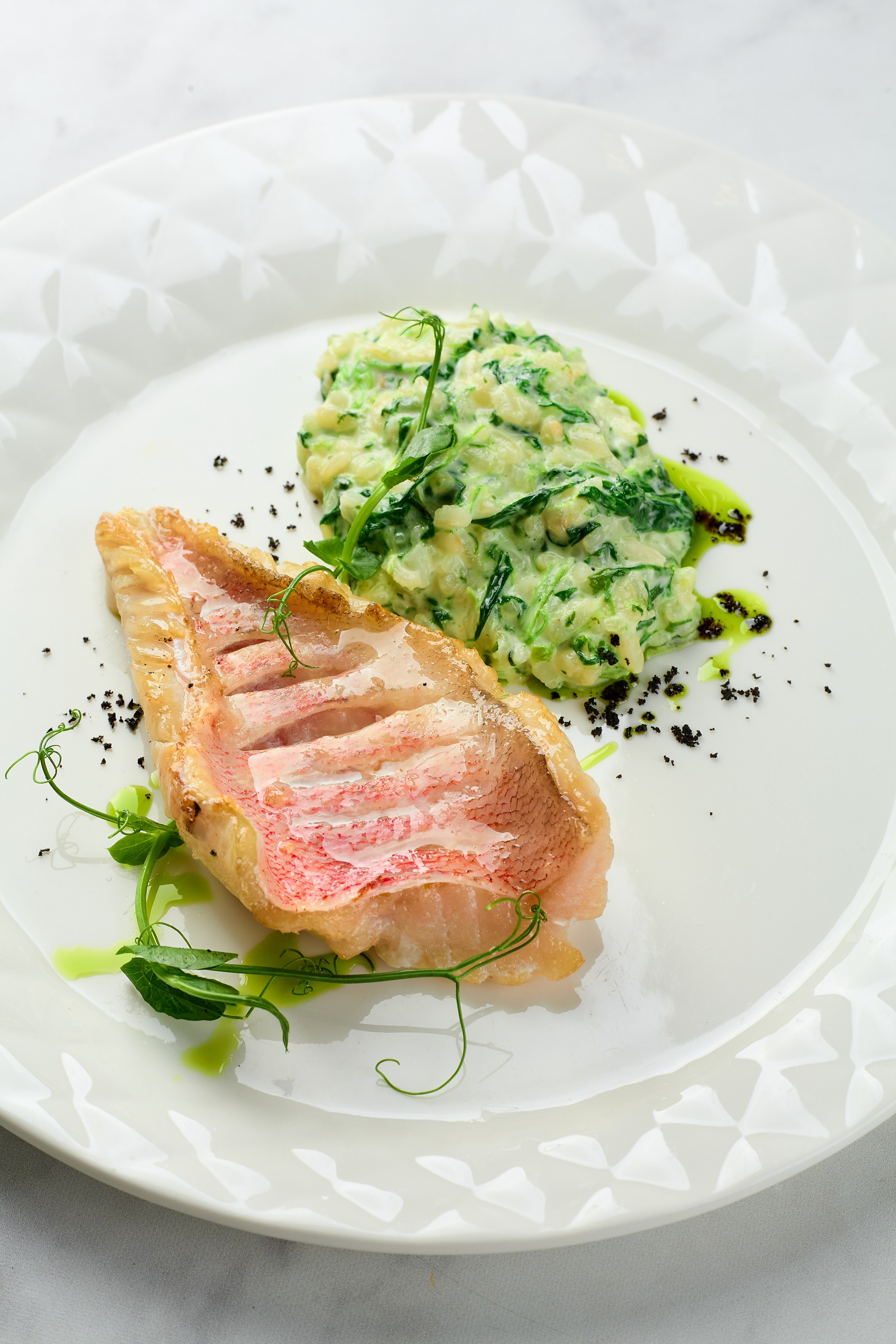 Собственная кухня. Дворец Культур
