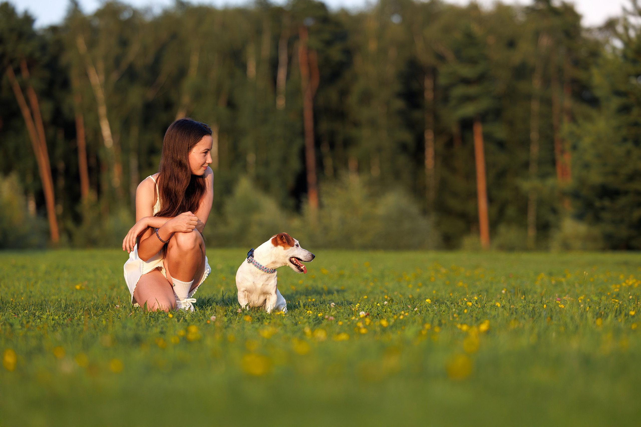 Юлиана и Риф (в обработке). Фотограф Анималист в Москве Анастасия Жучкова