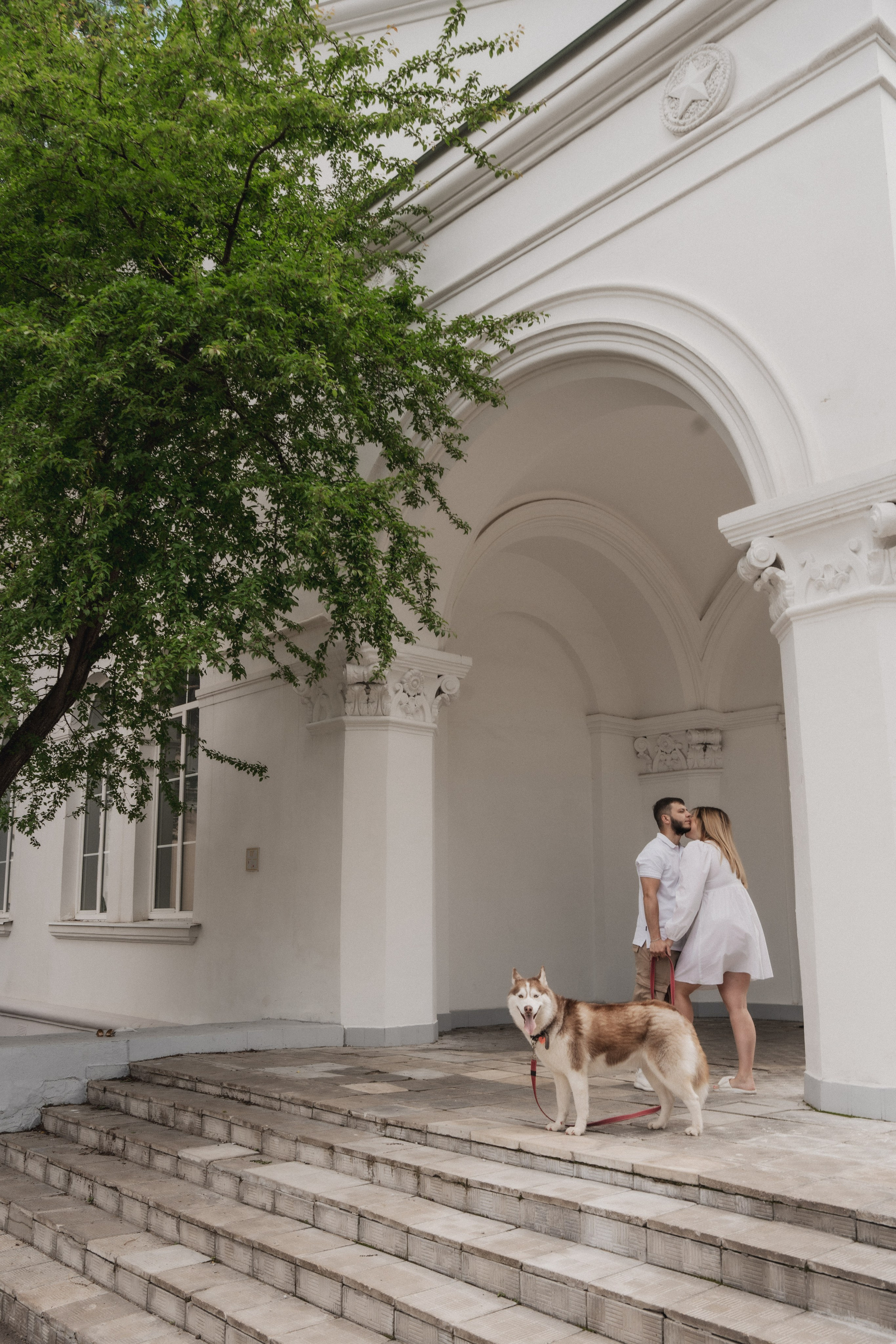 Дарья ♡ Максим ✧ Чоки — История любви, когда в семье есть хаски. Свадебный и портретный фотограф в Москве, Светлана Янковая