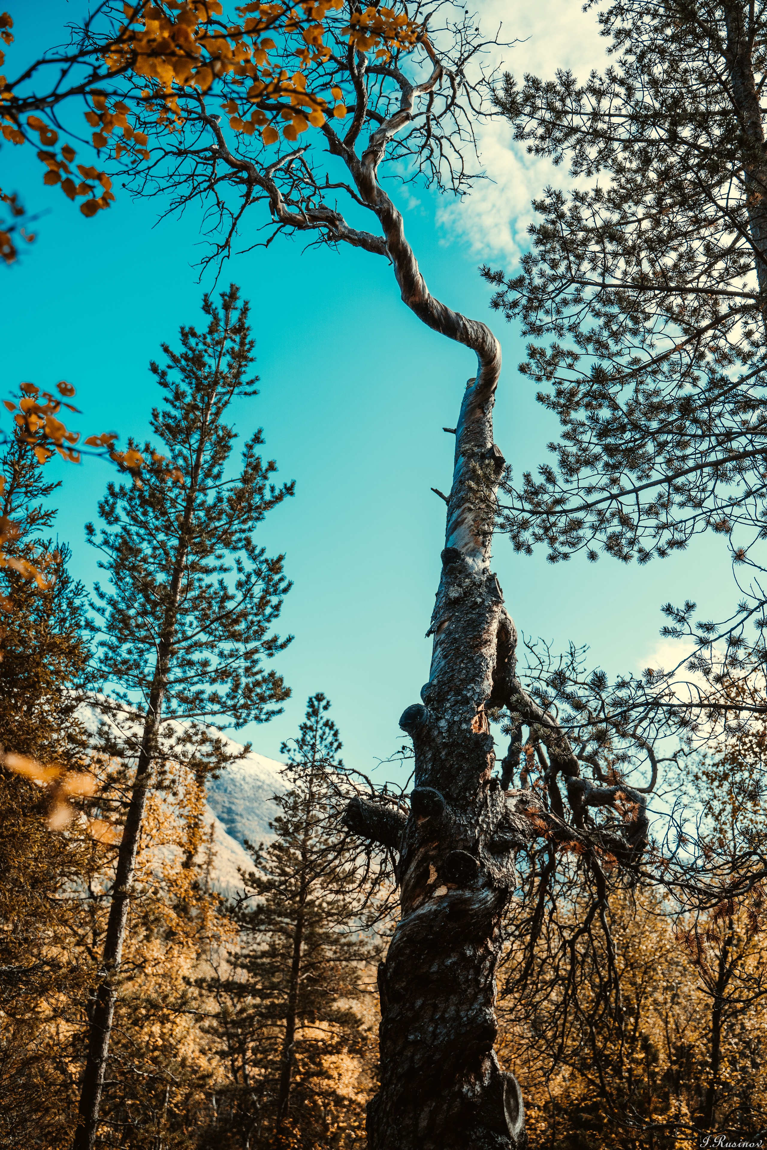 ХИБИНЫ 2021 г. Event фотограф Степанова Александра