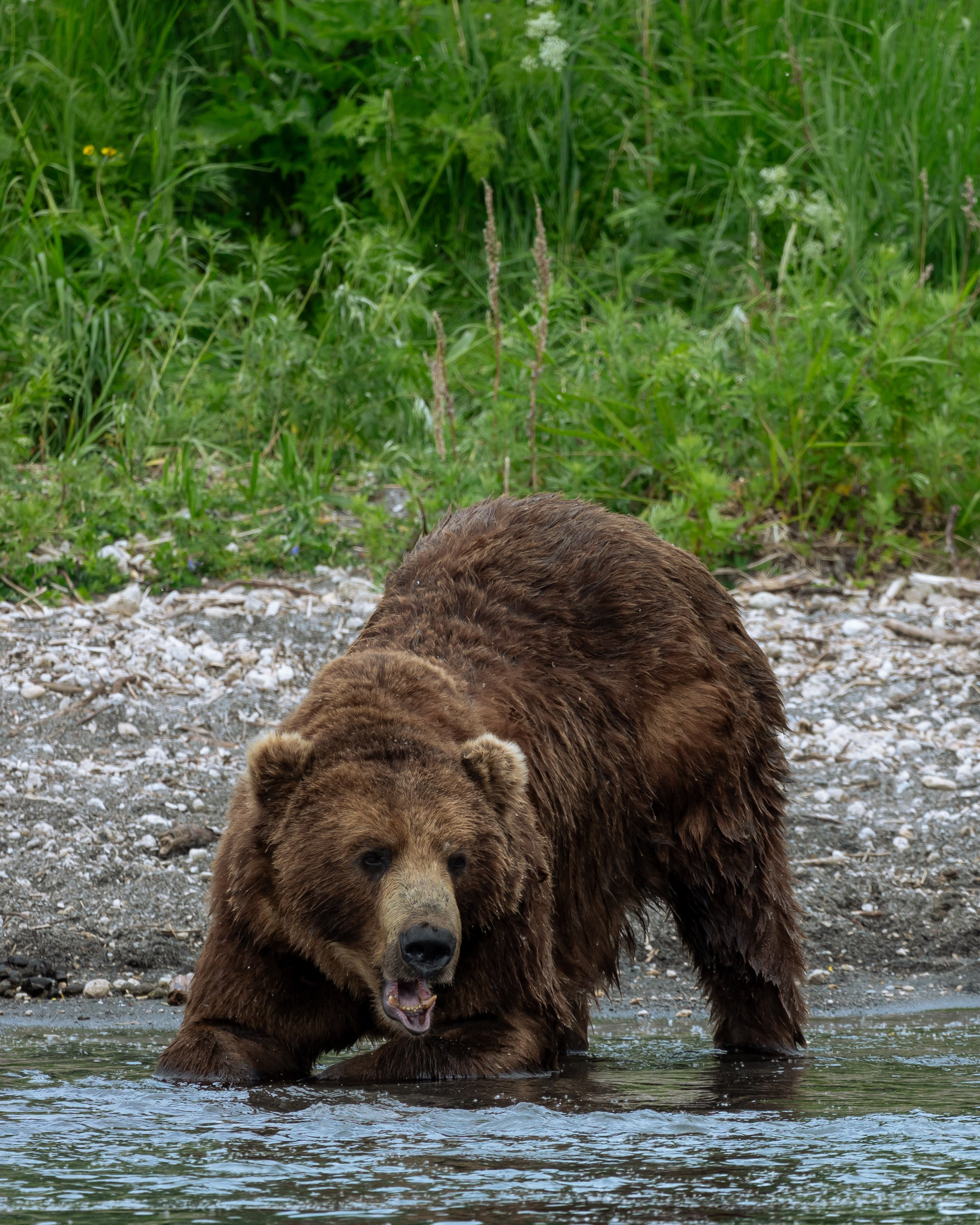 Репортаж туризм. Фотограф на Камчатке