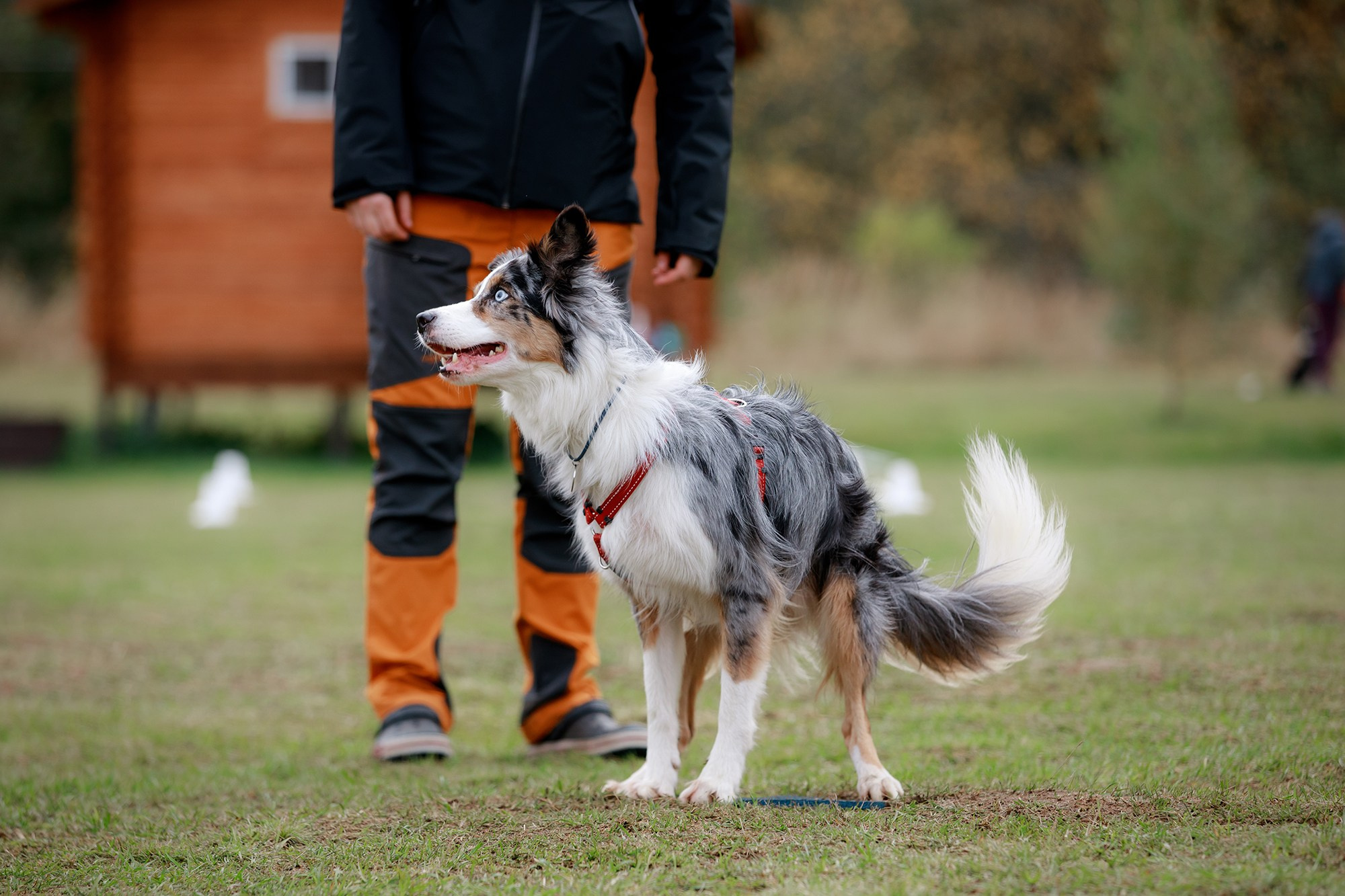 Лагерь по ОБД с Инной Баженовой. Фотограф-анималист Mary Mart — Москва, Питер