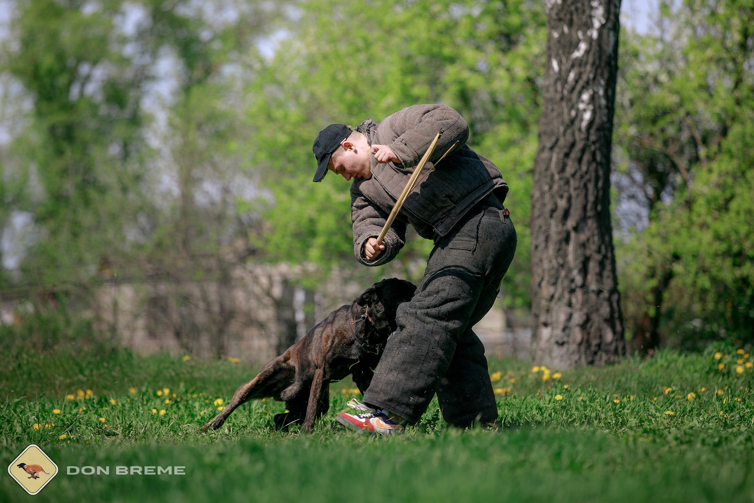 Семинар для фигурантов, день 4. Фотограф-анималист Mary Mart — Москва, Питер
