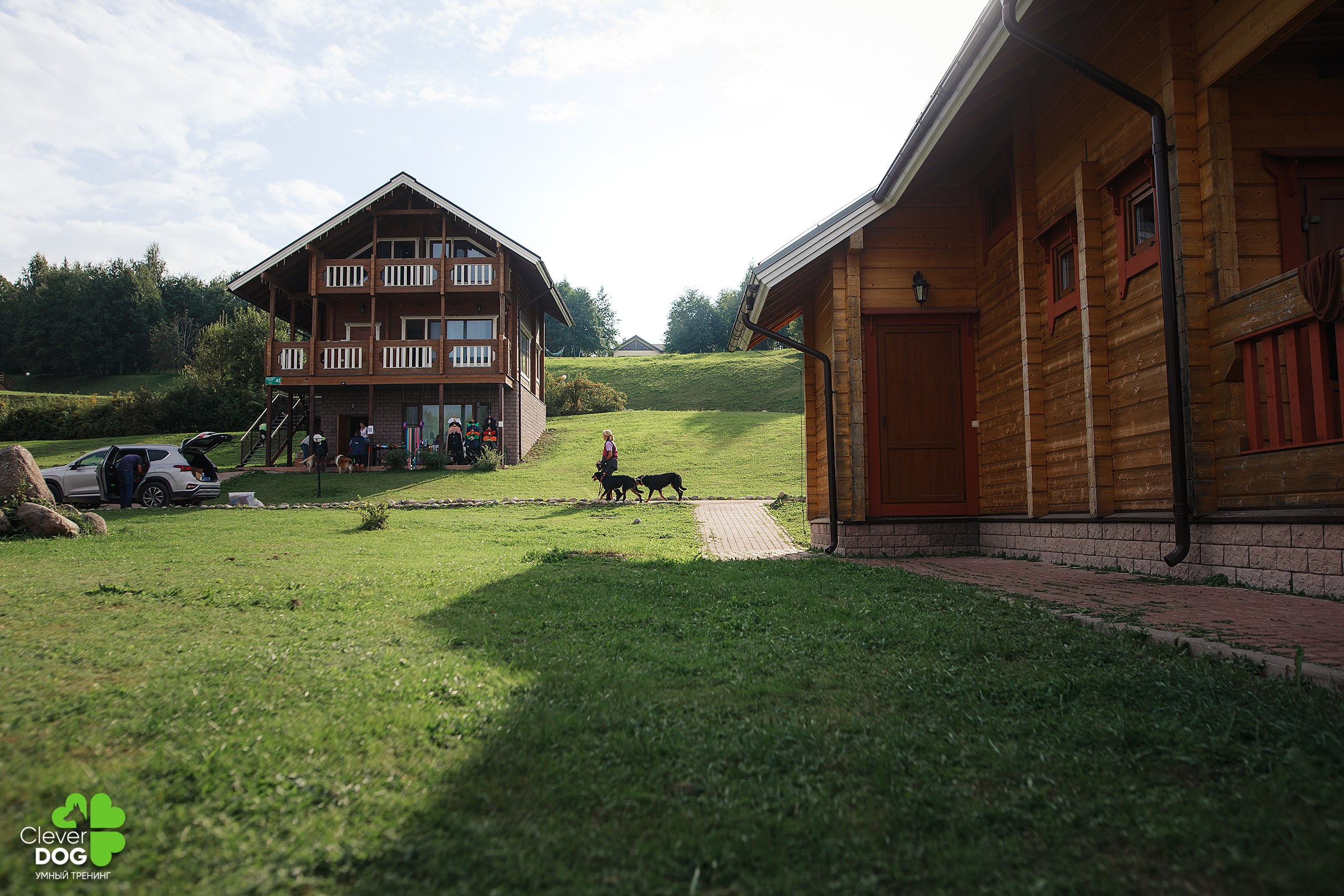 Кинологический лагерь CleverDog, 2024. Фотограф-анималист Mary Mart — Москва, Питер