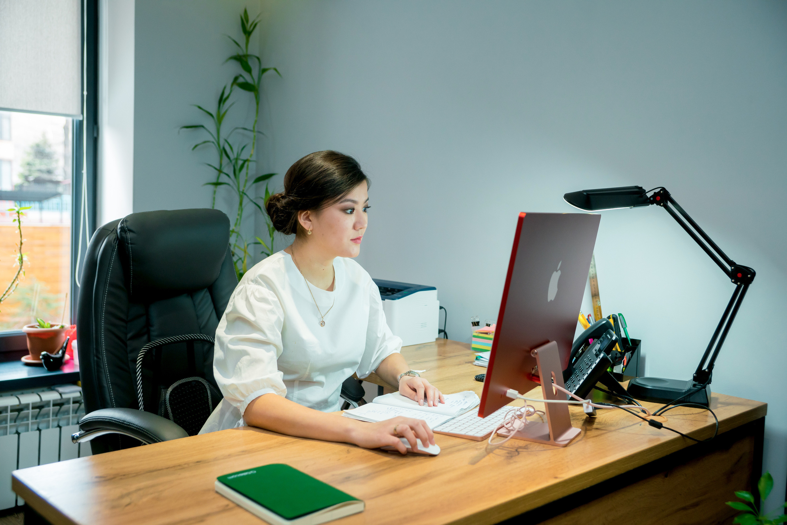 Q telecom. Профессиональная съемка в Алматы