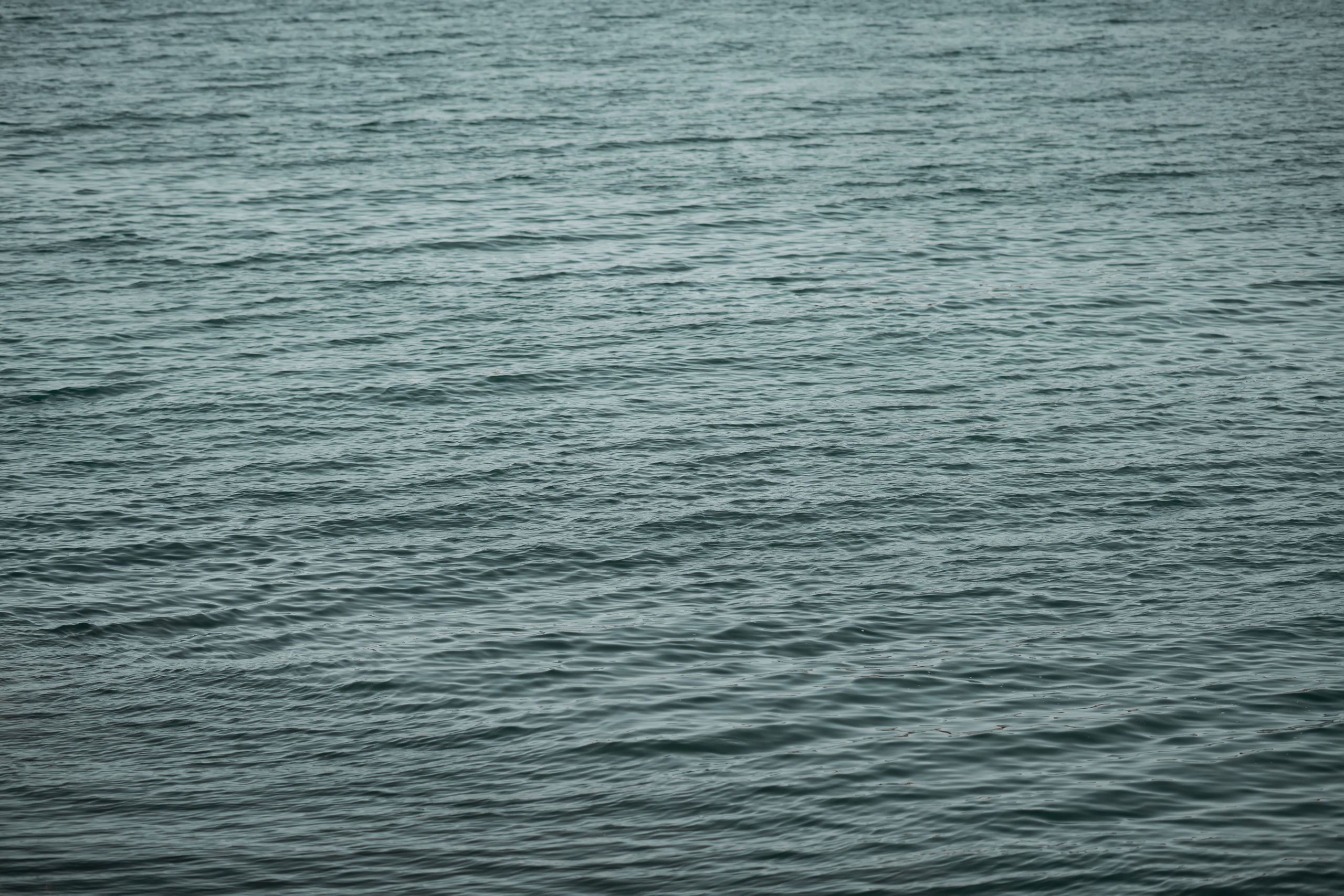 Love Story. Профессиональная съемка в Алматы