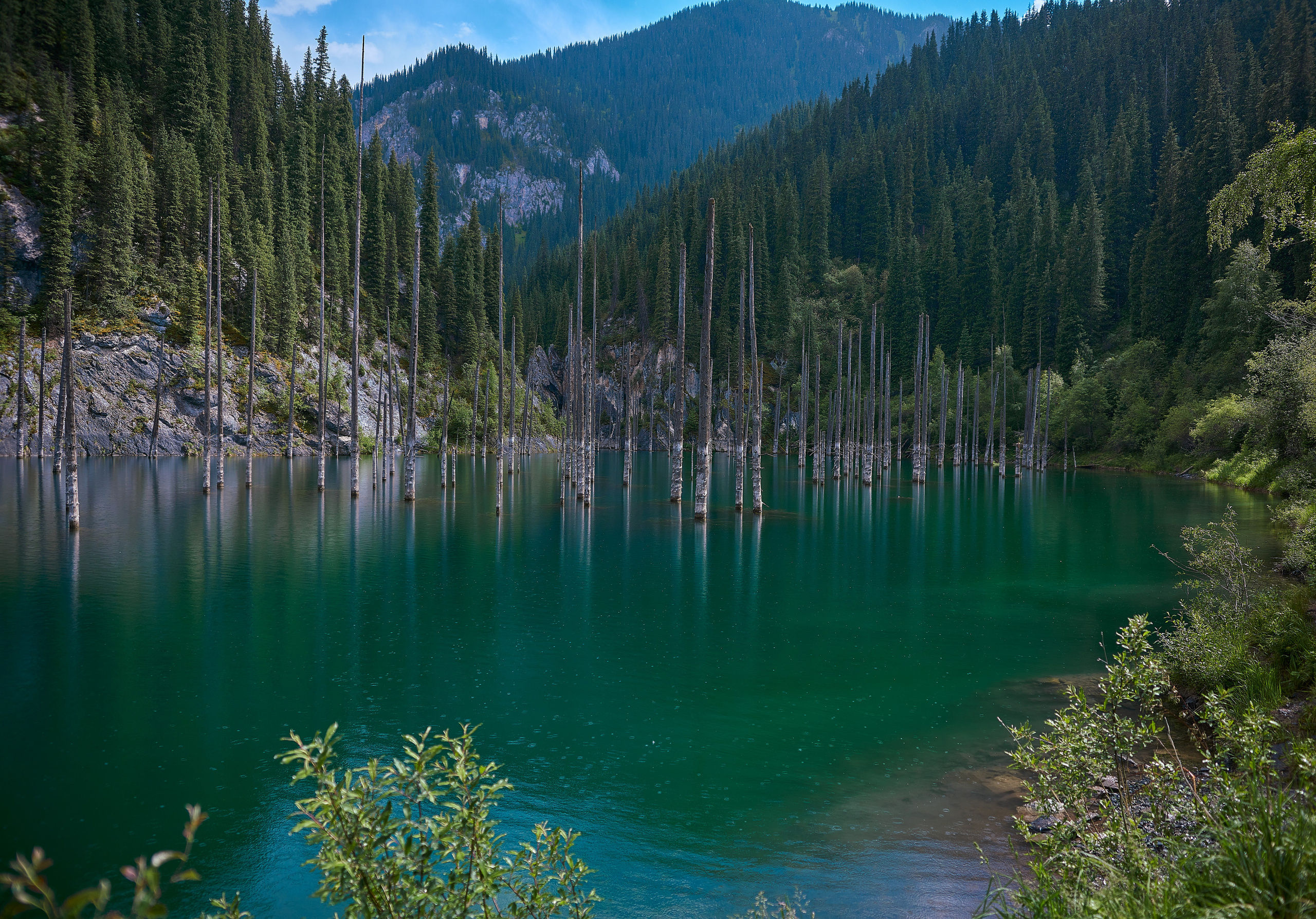 Природа. Профессиональная съемка в Алматы